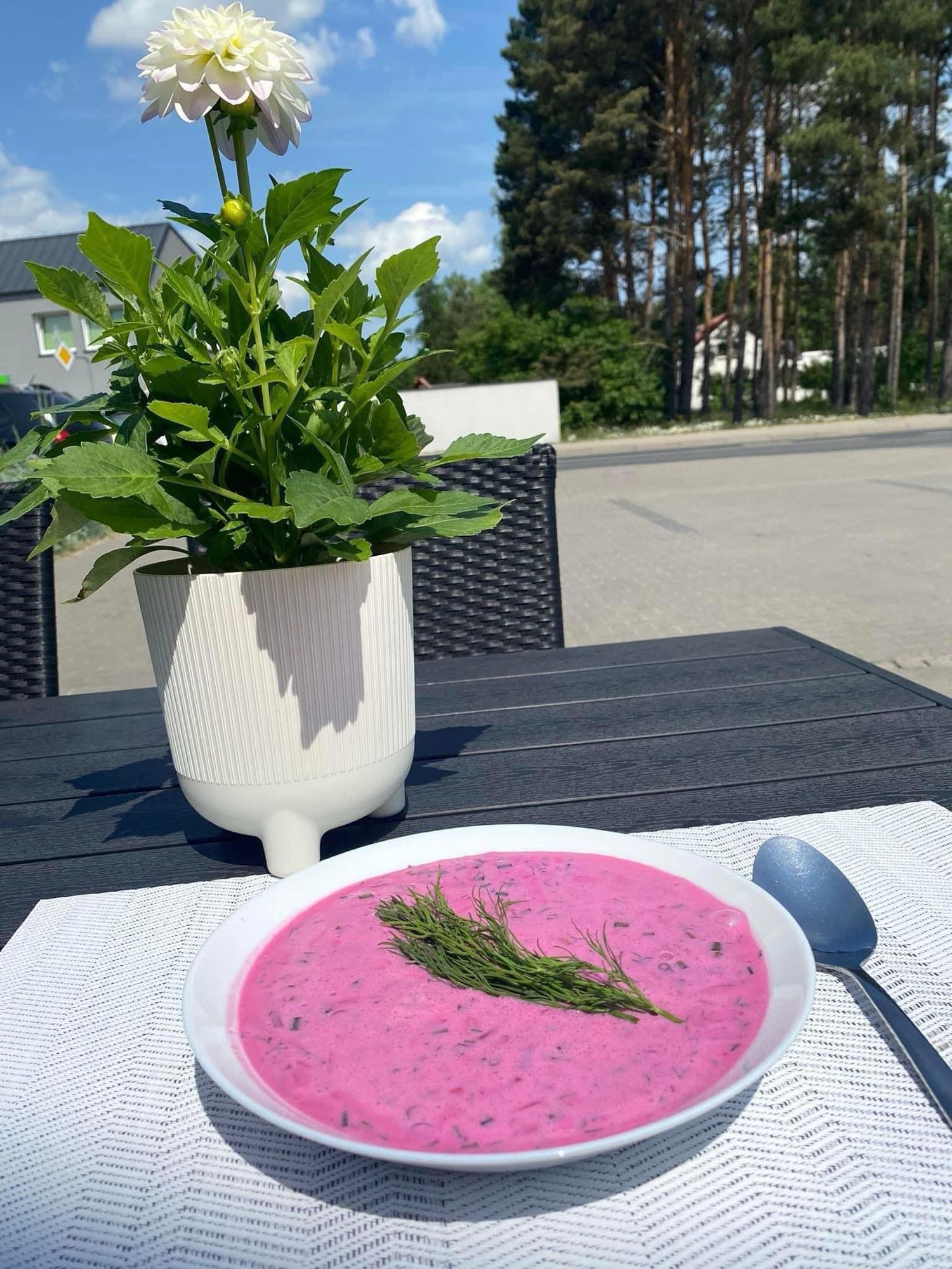 холодный борщ