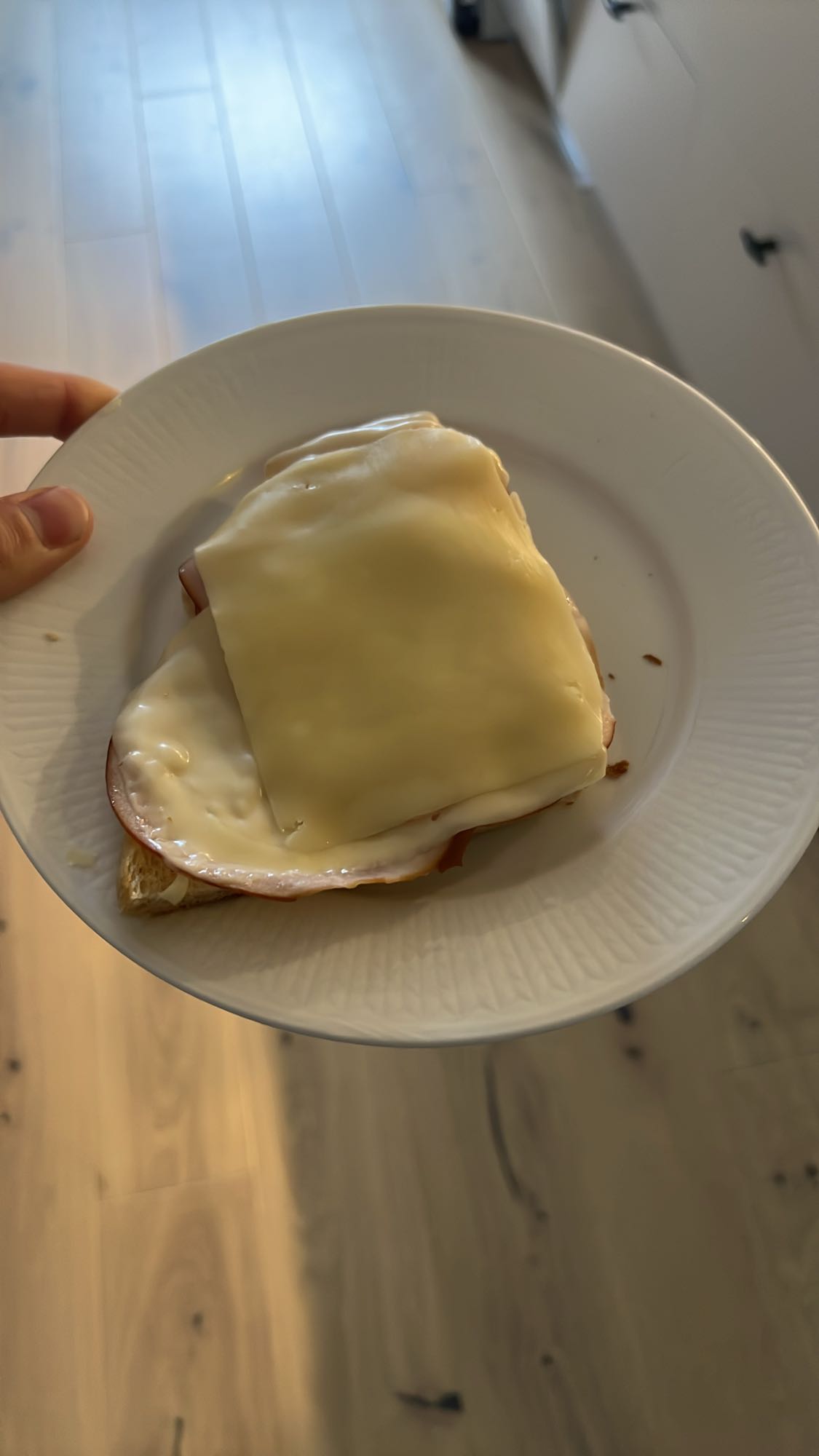 Ost och kalkonsmörgås