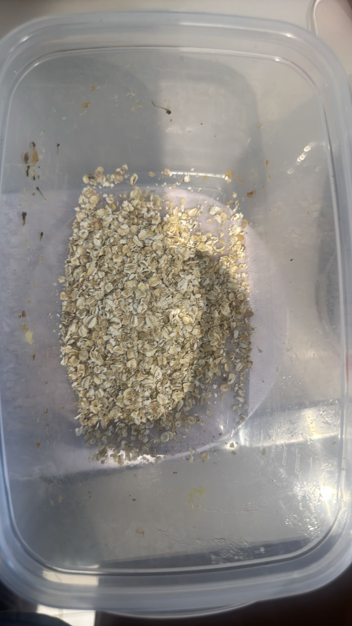 Aveia em flocos simples