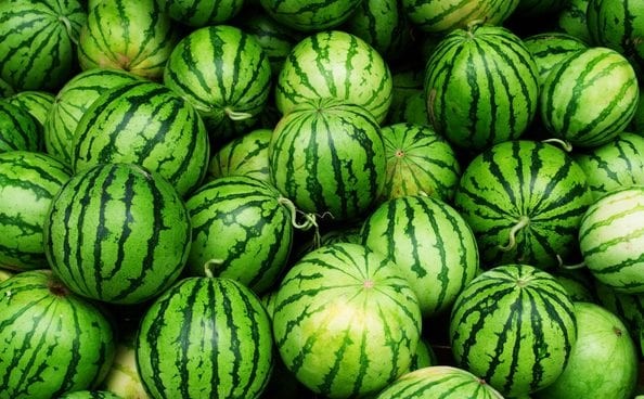 Fresh Watermelon
