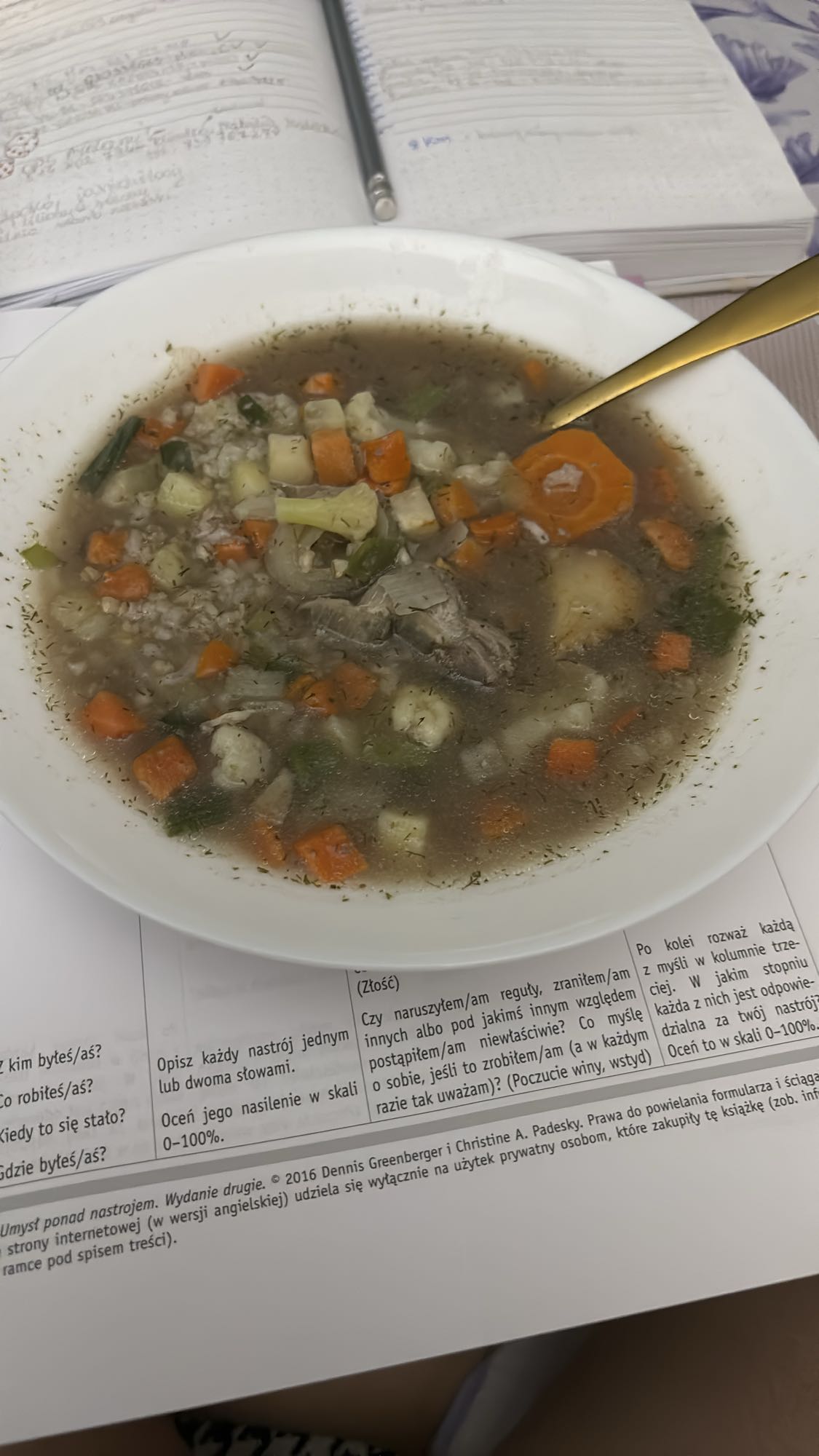 zupa warzywna z mięsem