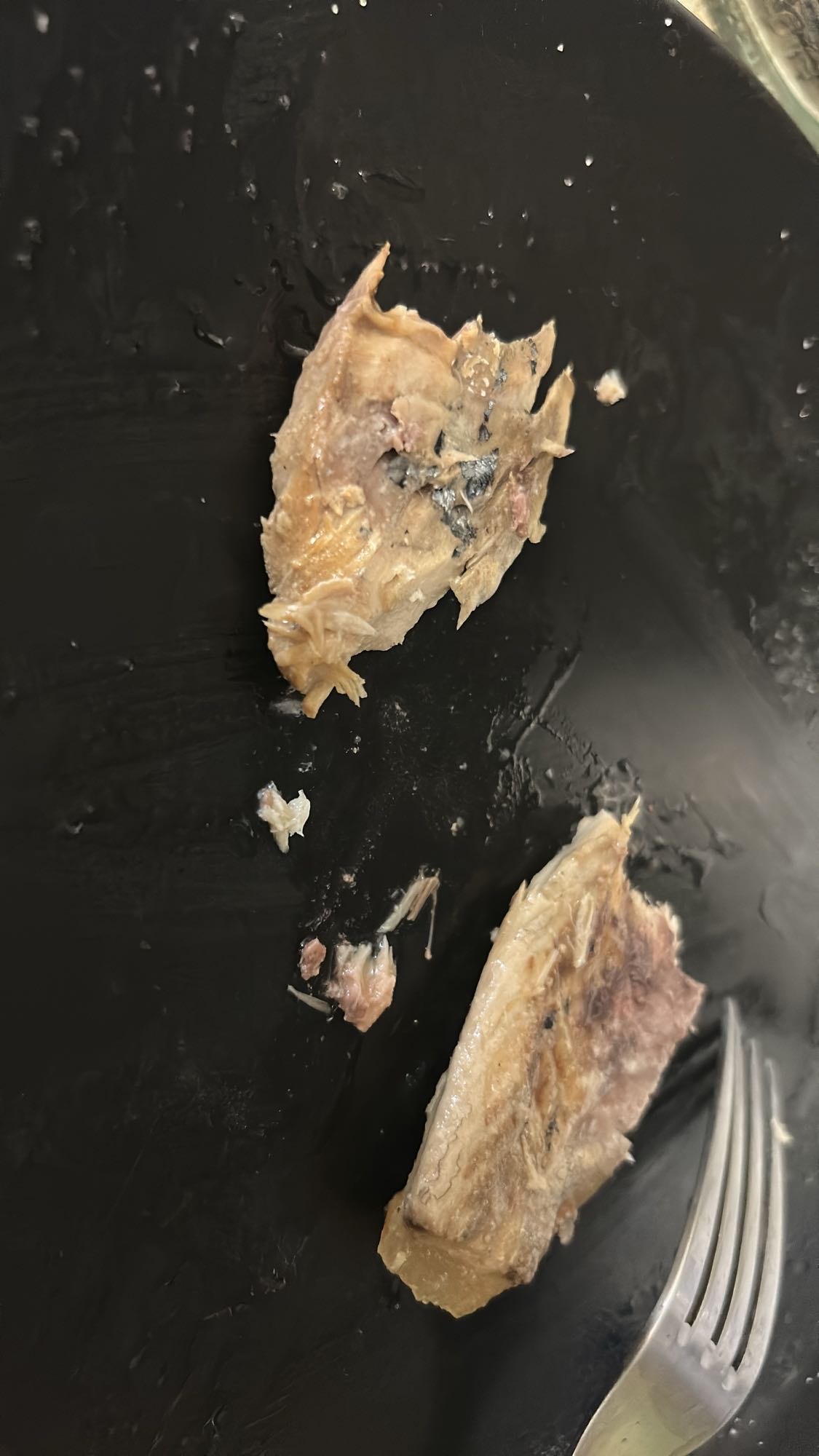 Filets de maquereau grillés nature