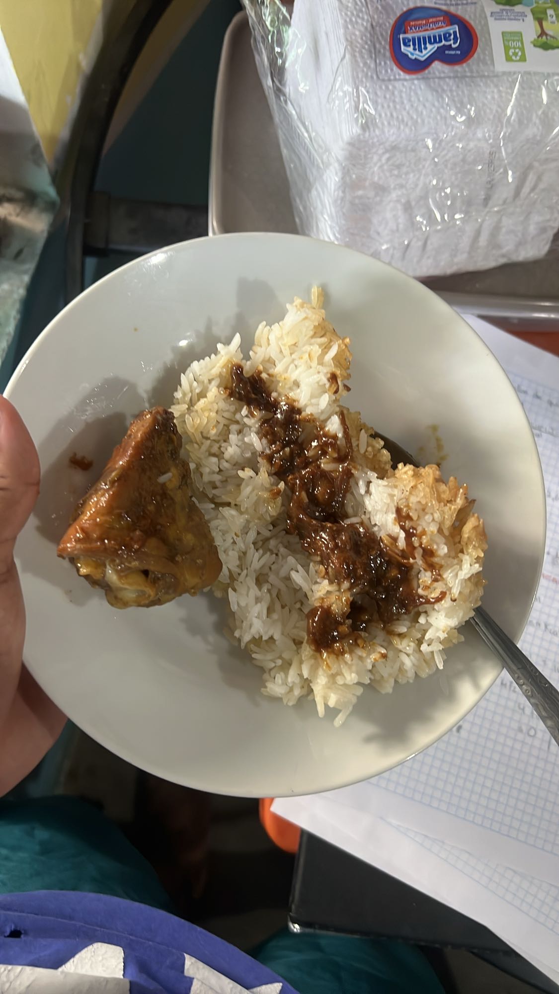 Arroz con pollo y salsa