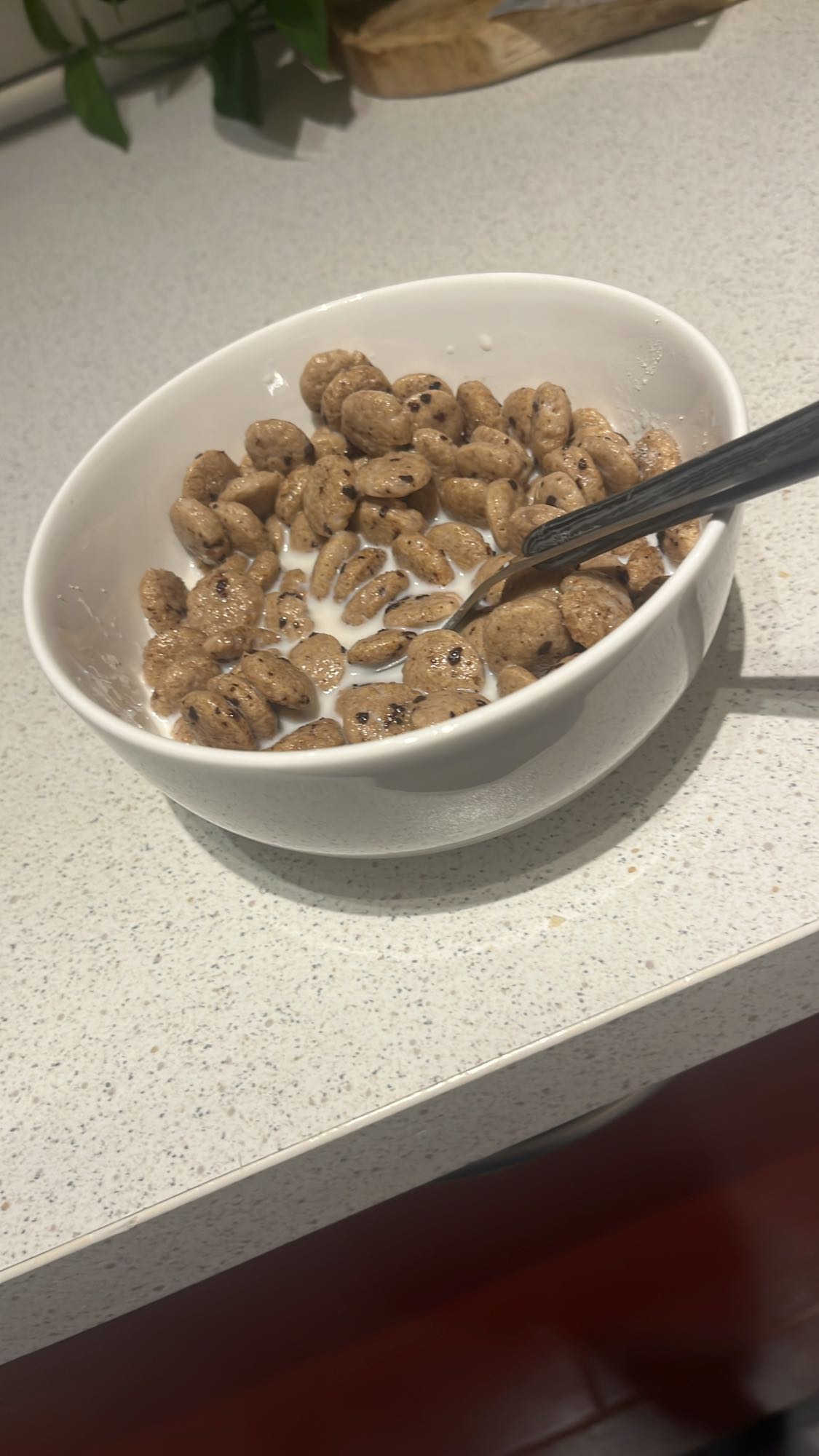 Bol de céréales au lait