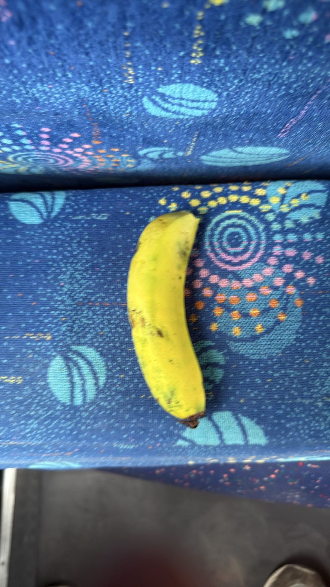Banaan
