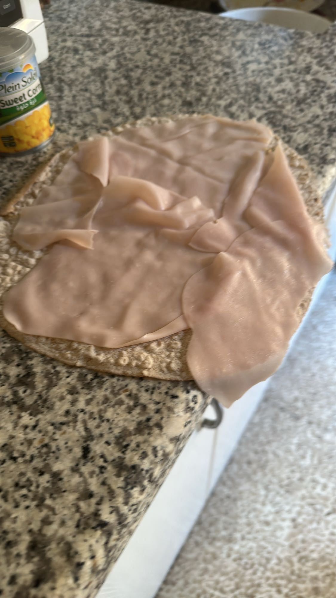 Turkey Flatbread Wrap