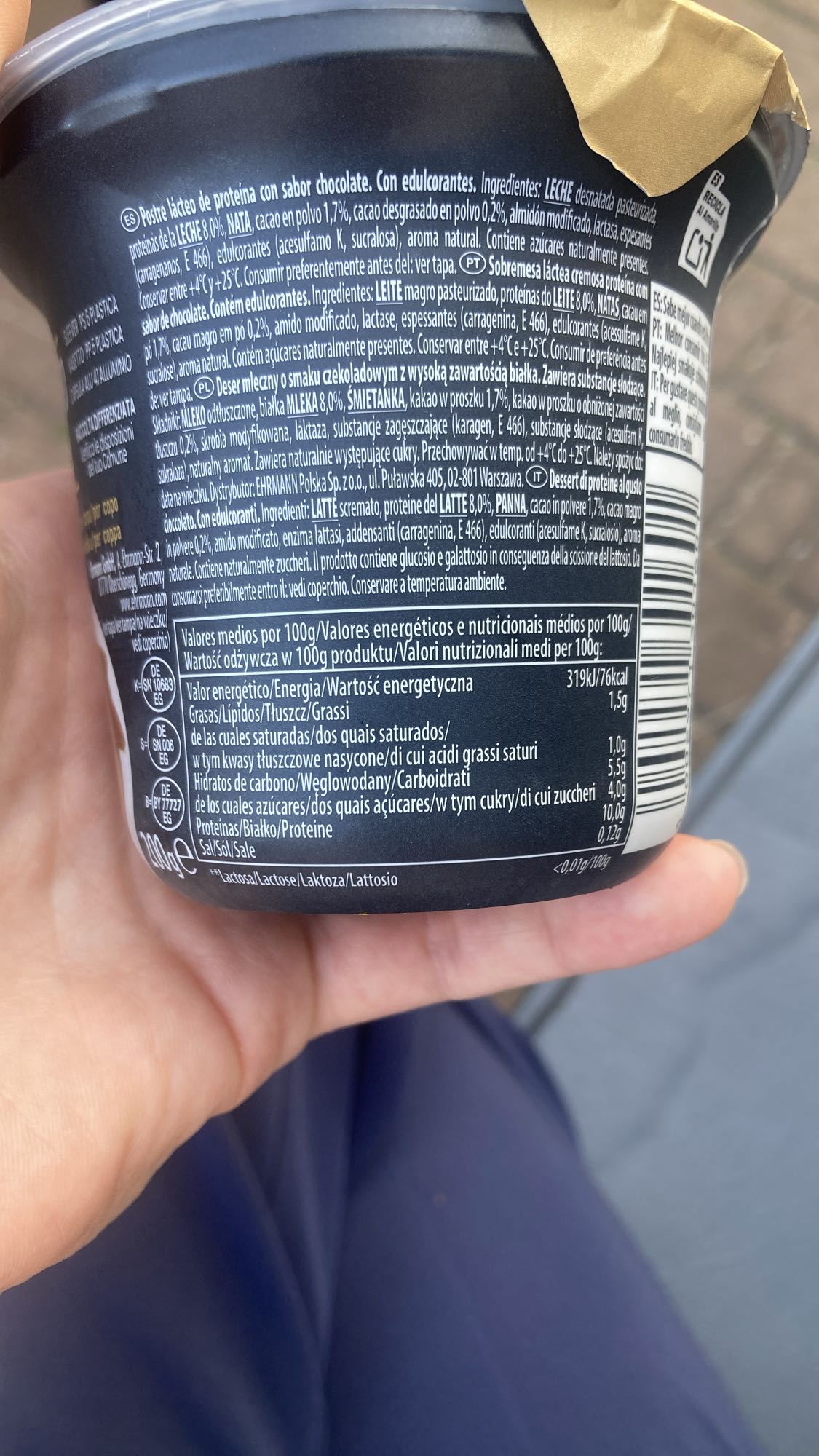 Chocolate Protein Dessert