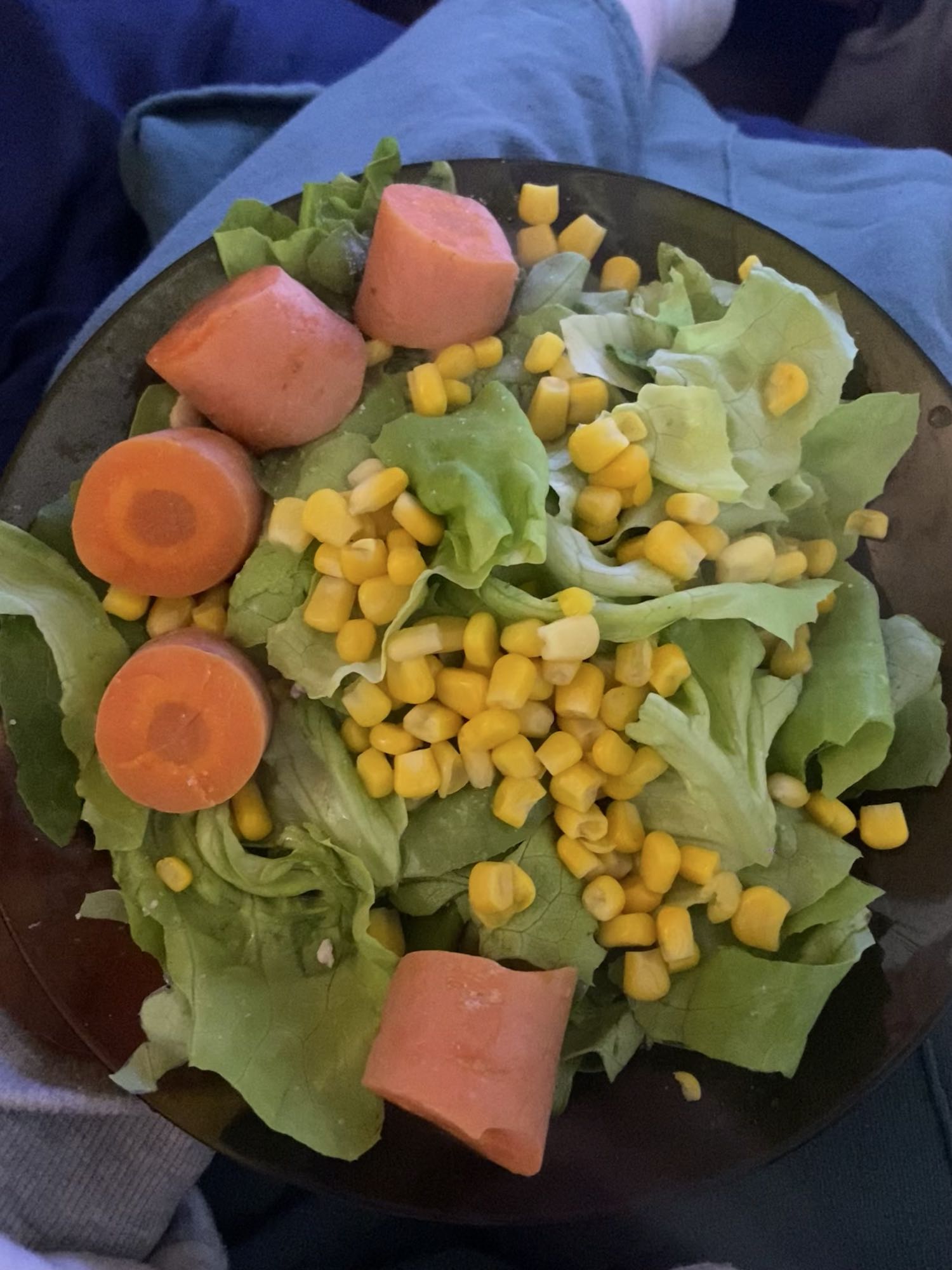 Ensalada con salchicha
