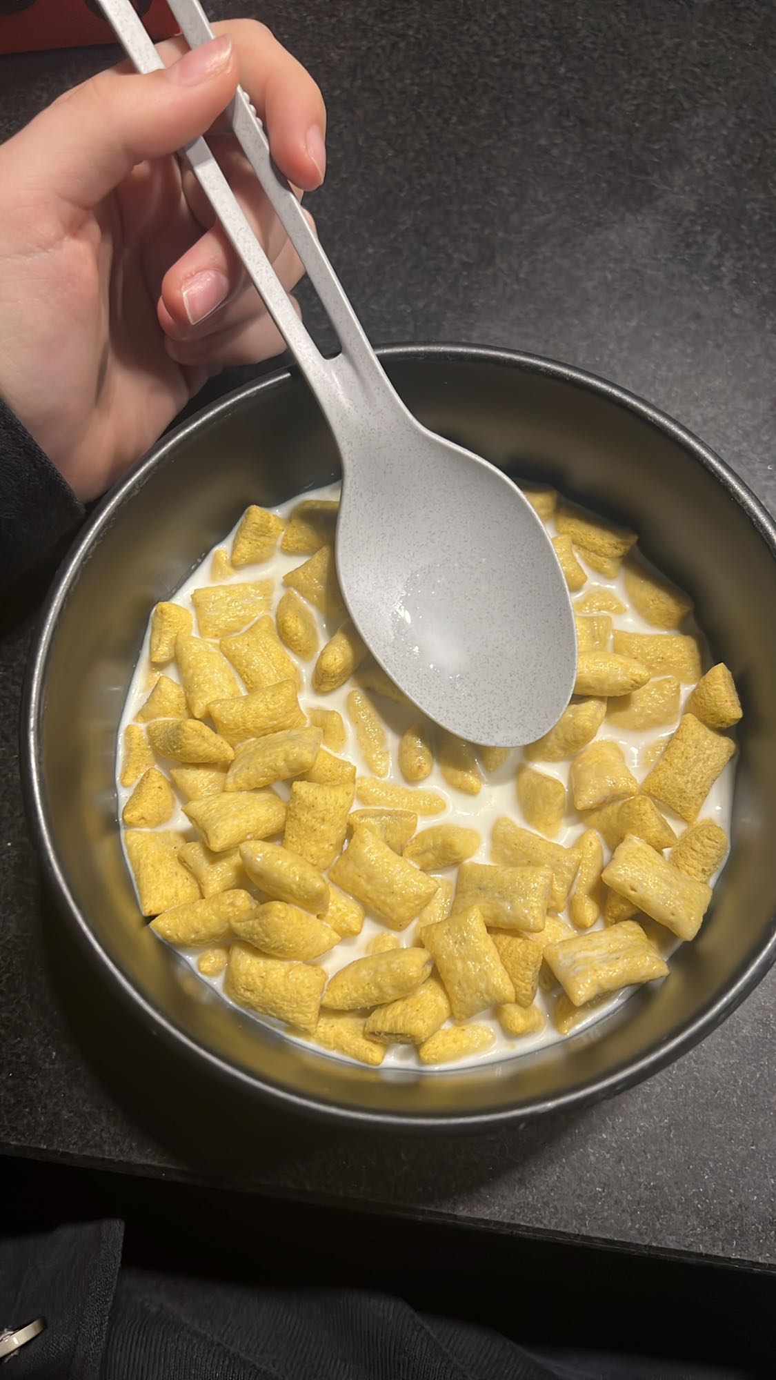 ontbijtgranen met melk