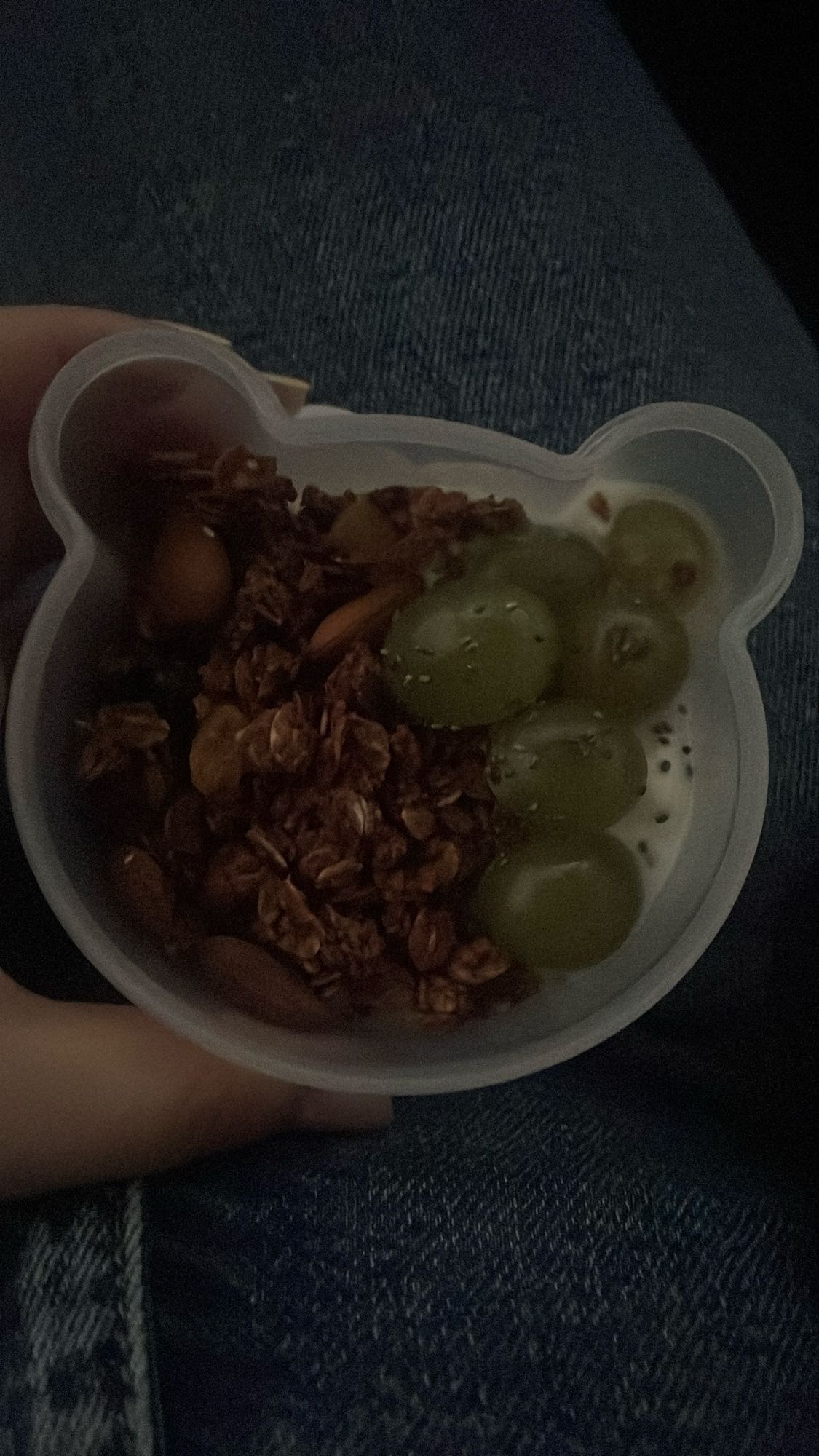 Yaourt granola raisin