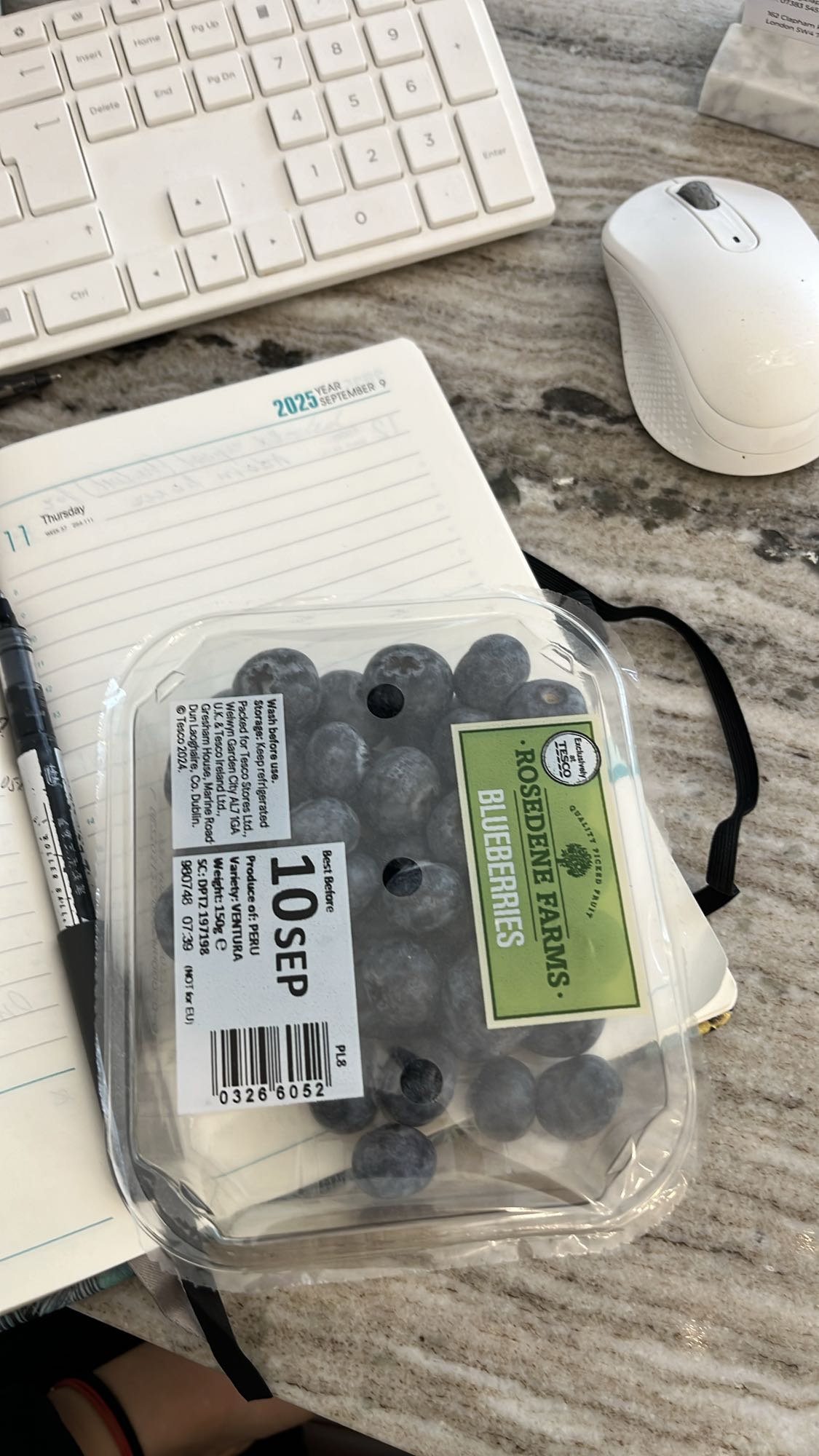 Fresh Blueberries Snack