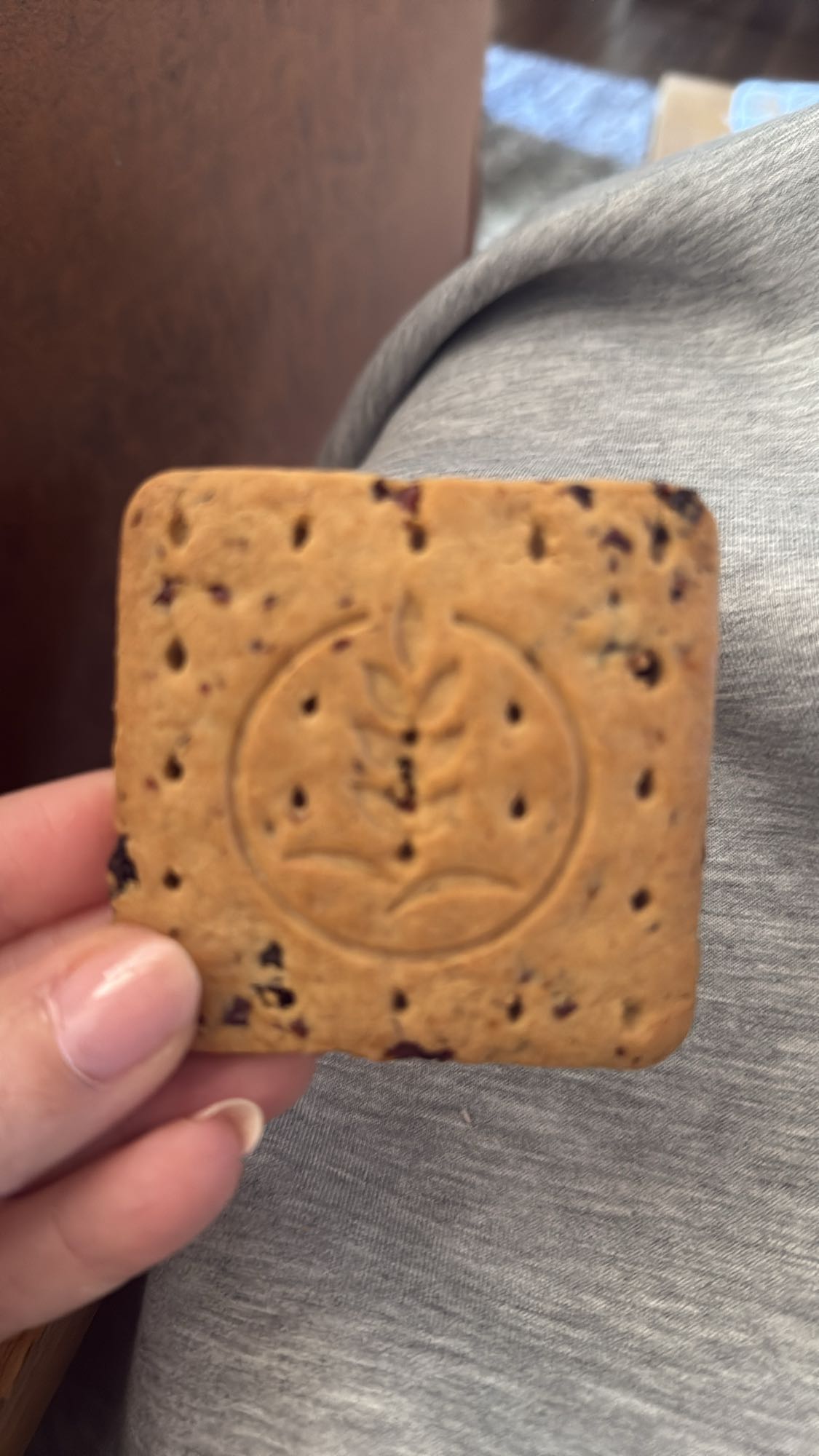 volkoren biscuit