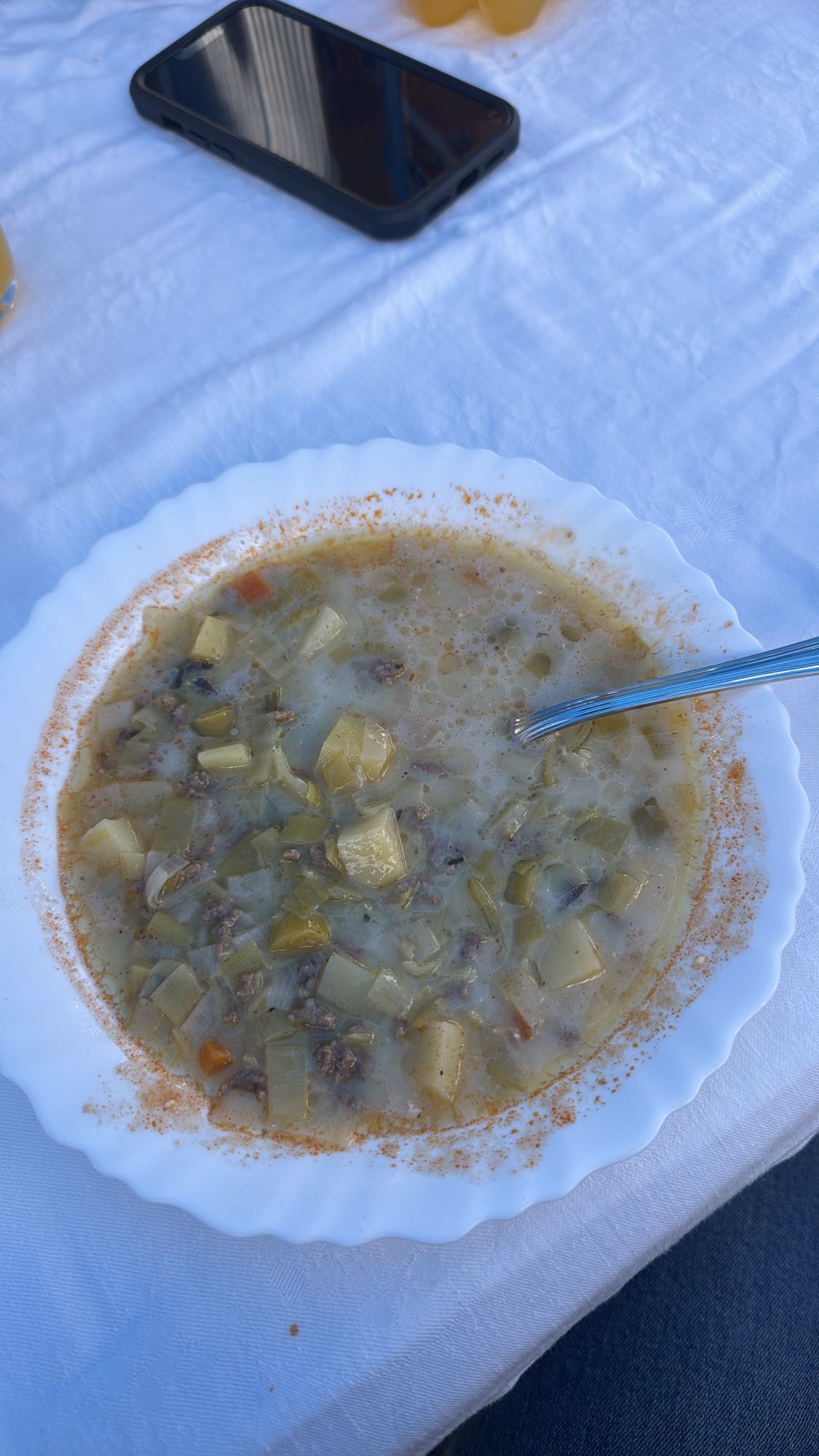 Gemüsesuppe mit Hackfleisch