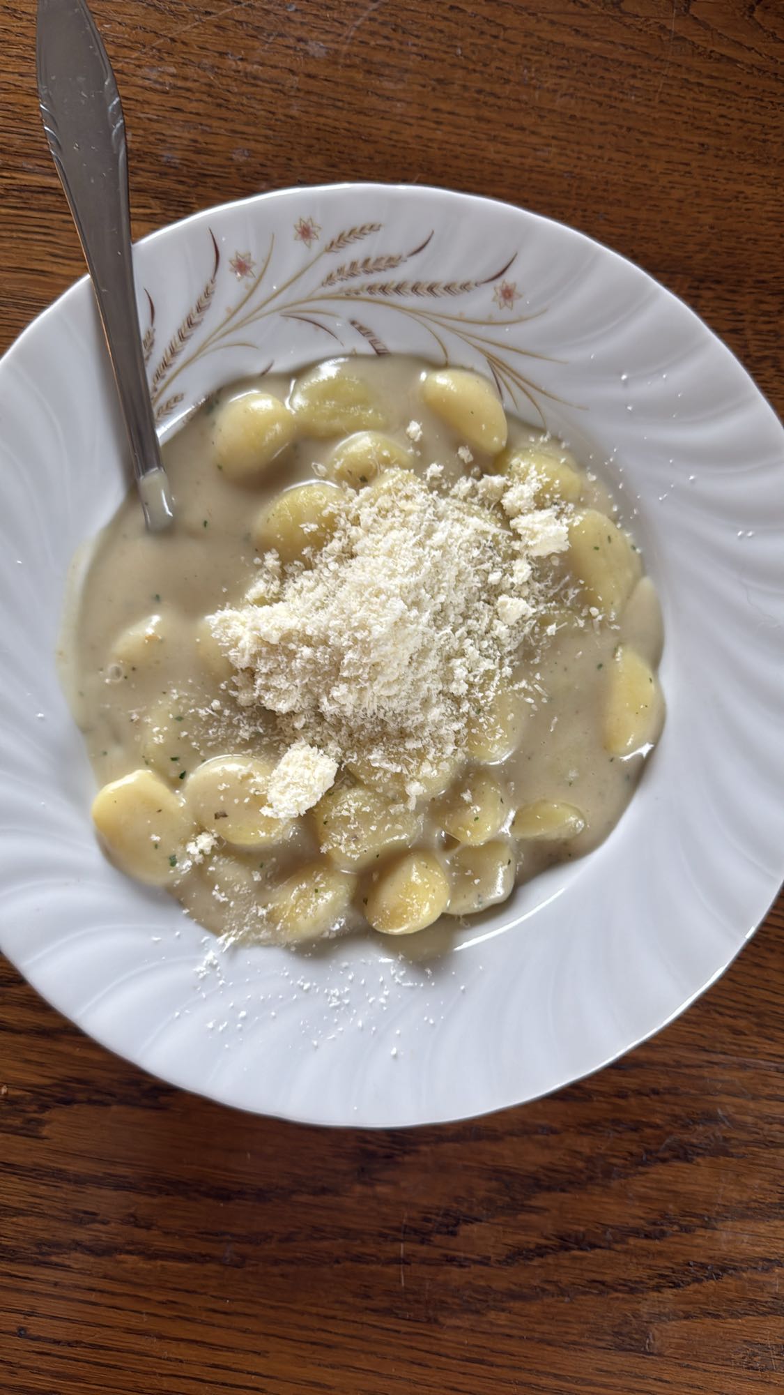 Gnocchi with cheese sauce