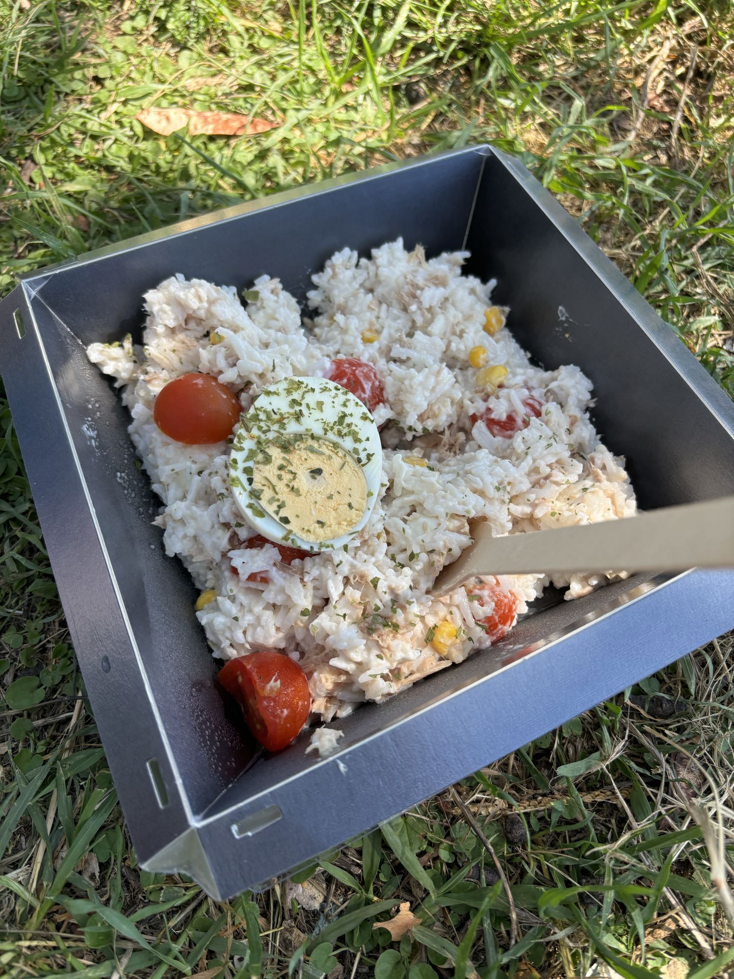 Salade de riz au thon