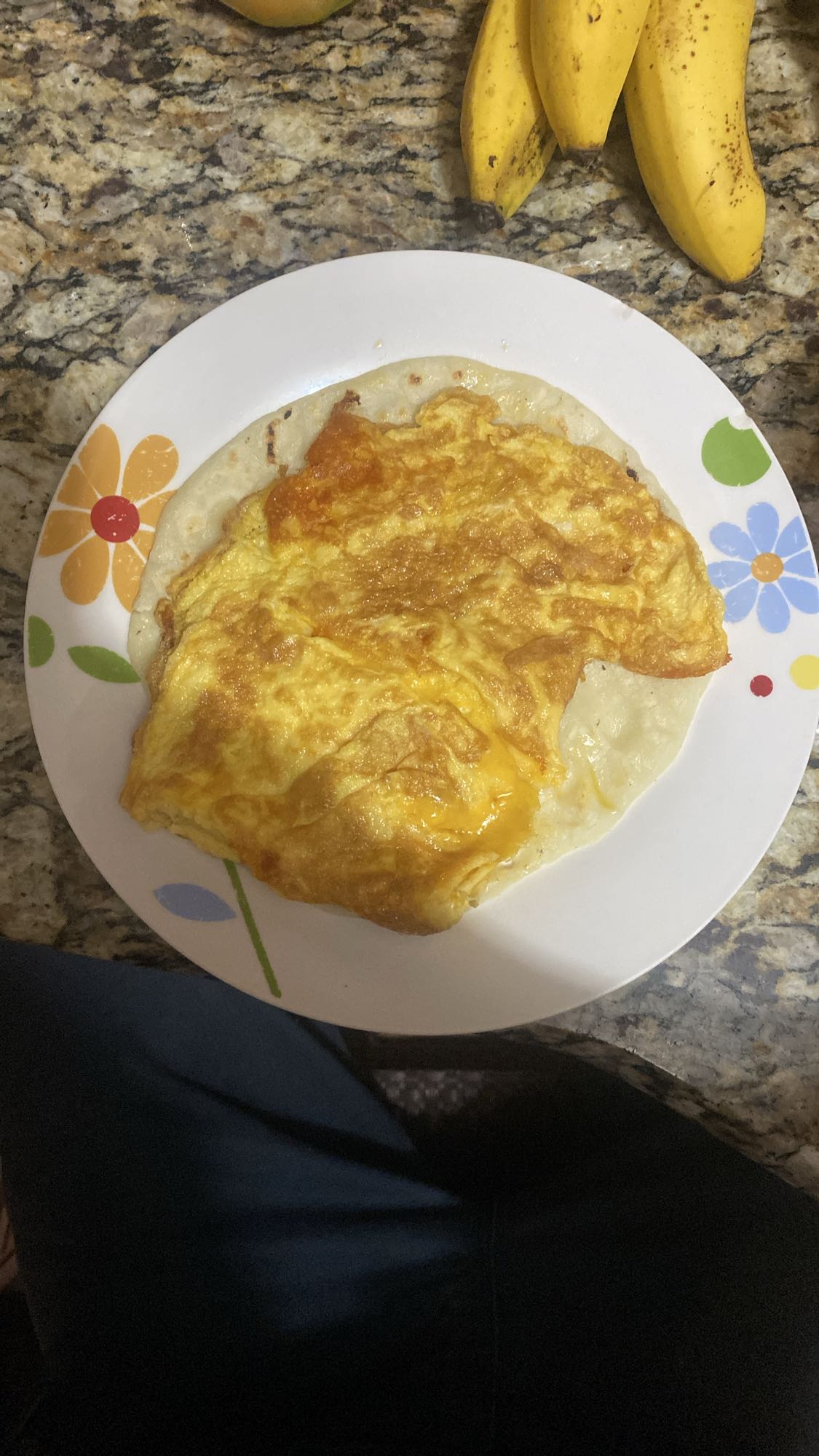 Egg Omelette with Tortilla