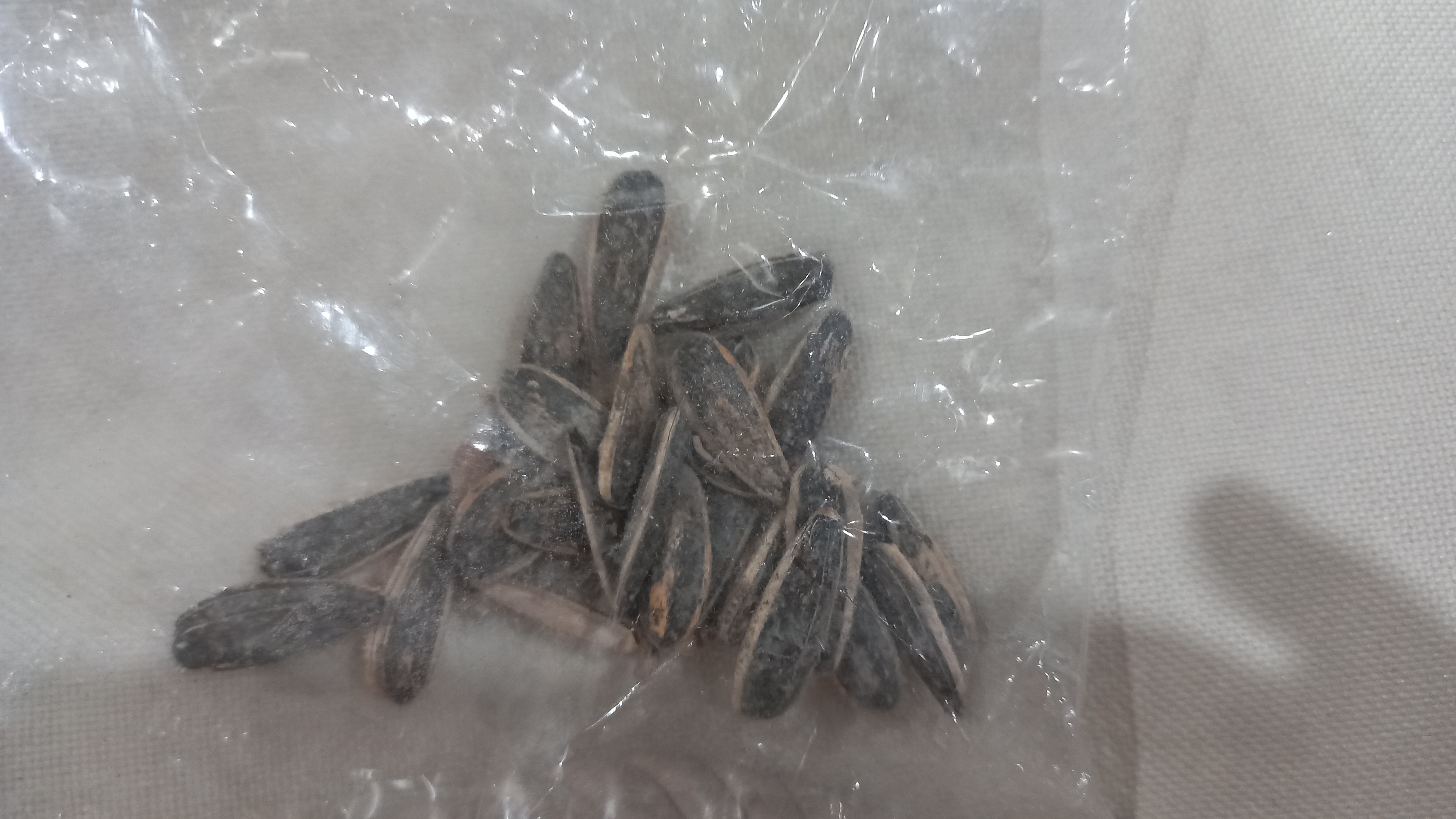 Sunflower Seeds Snack