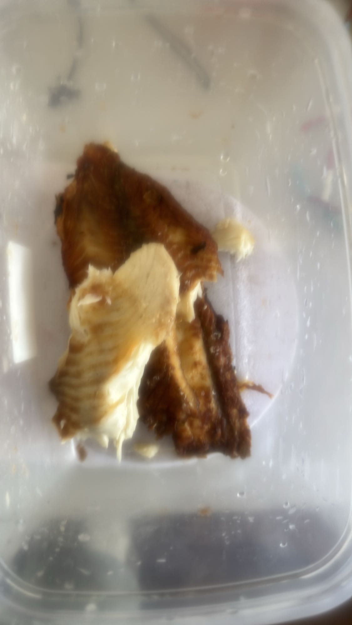 Filé de peixe grelhado