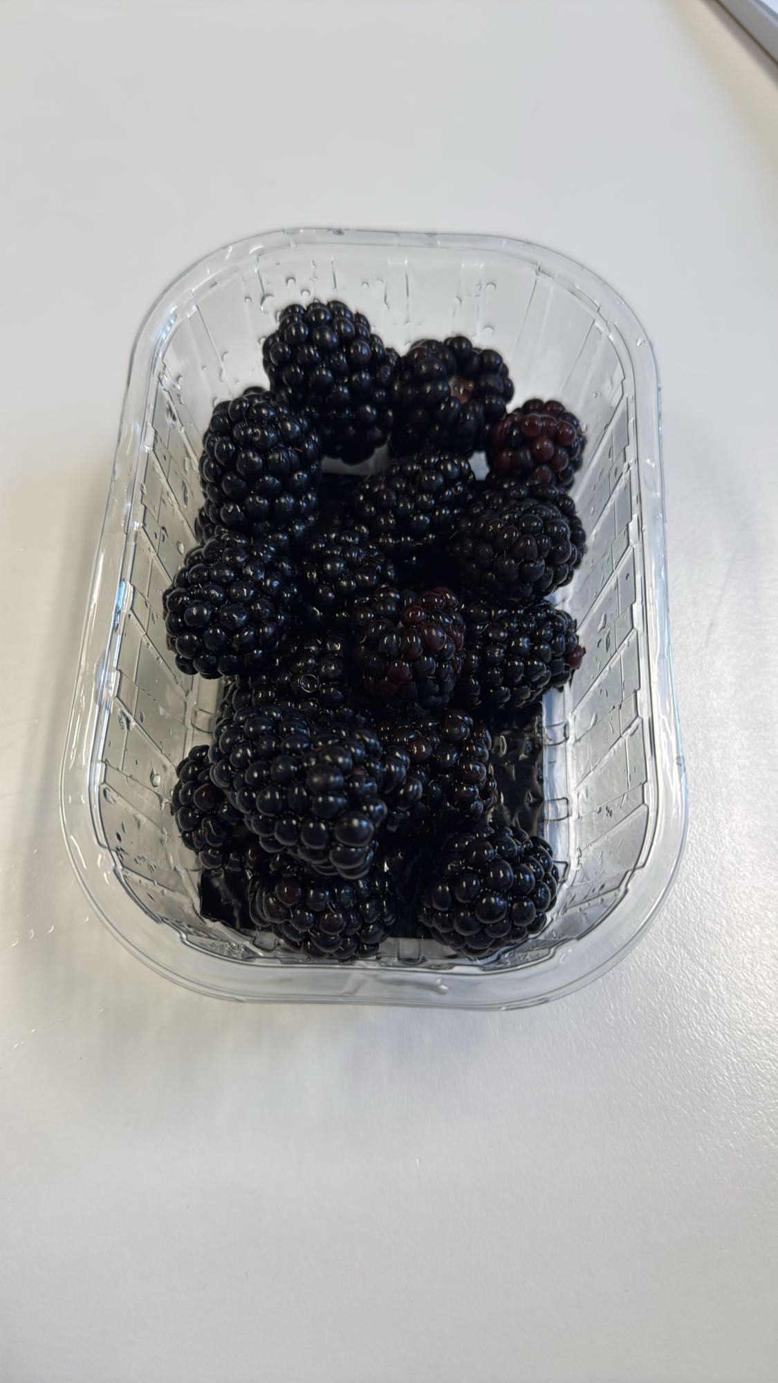Fresh Blackberries