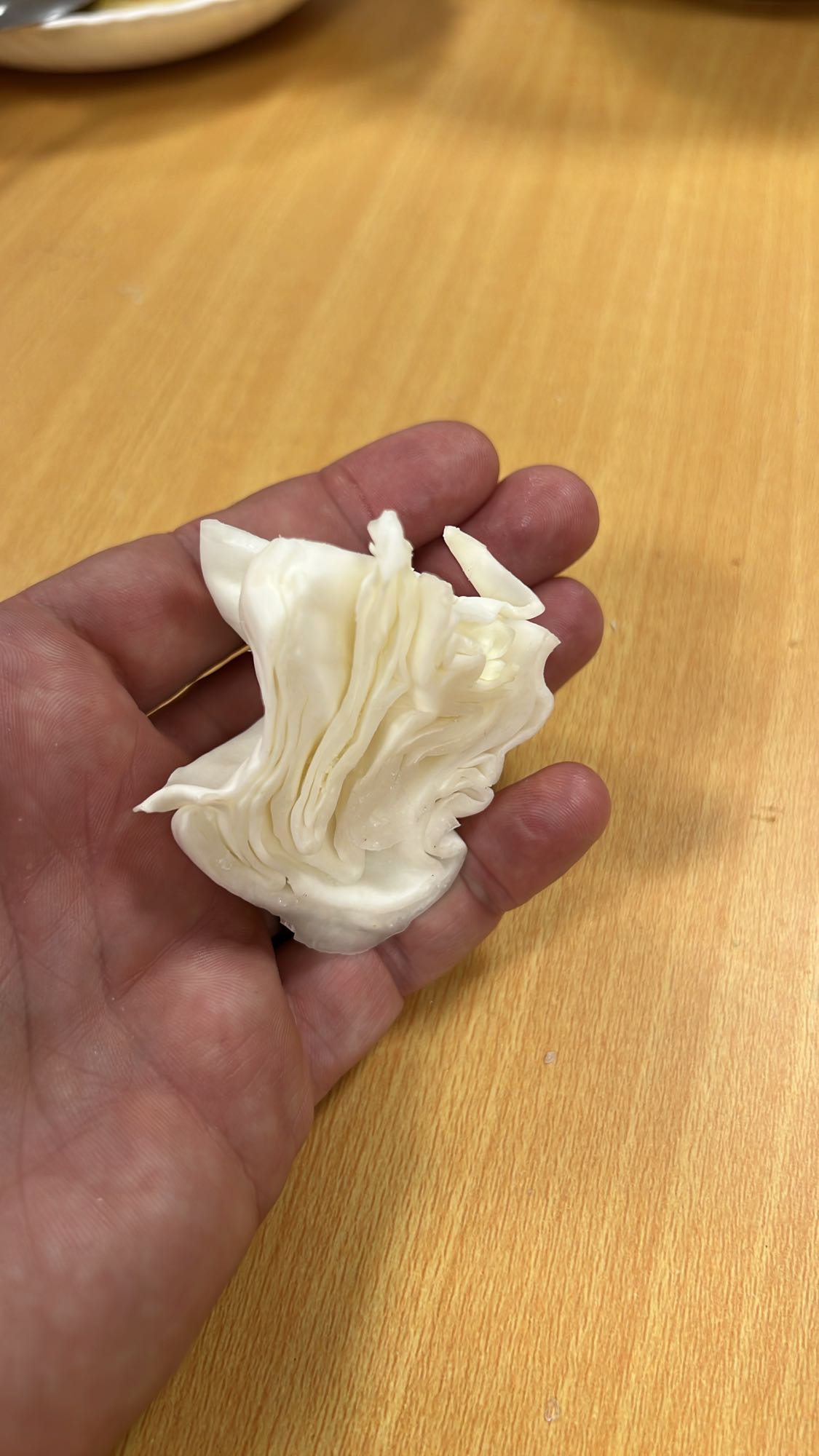 bucată de varză crudă