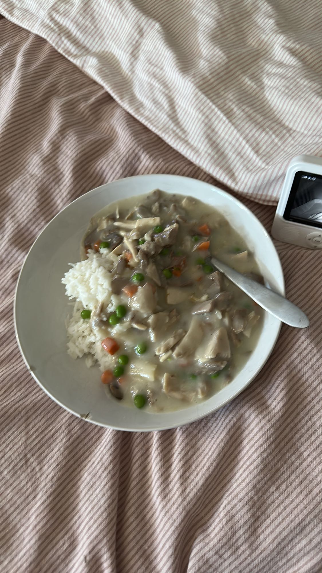 Rijst met romige kip