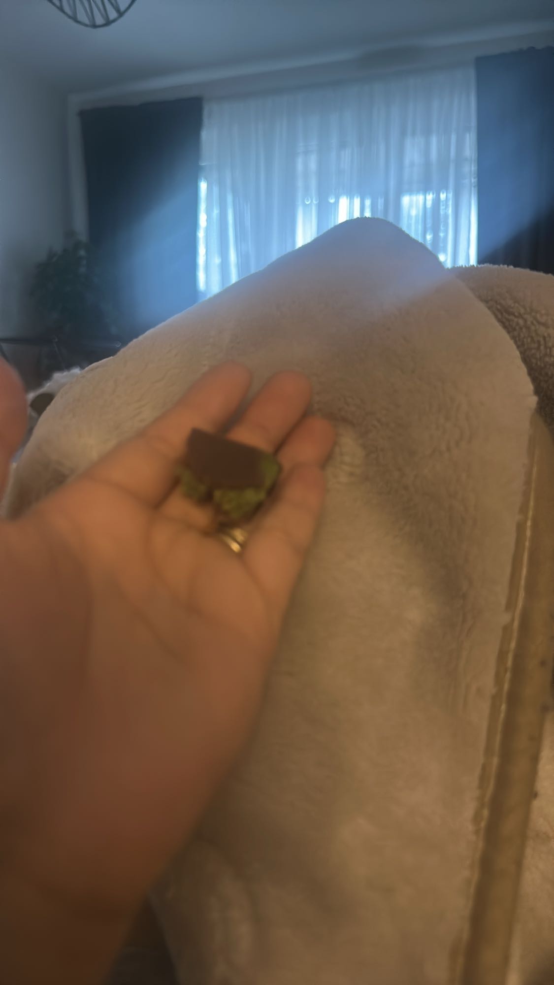 Chokladöverdragen matchabit