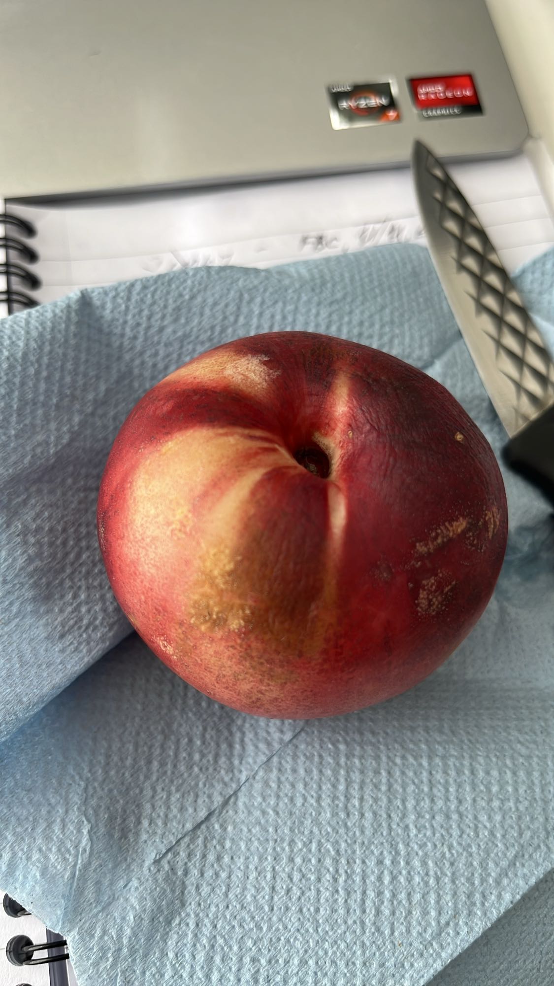 Fresh nectarine