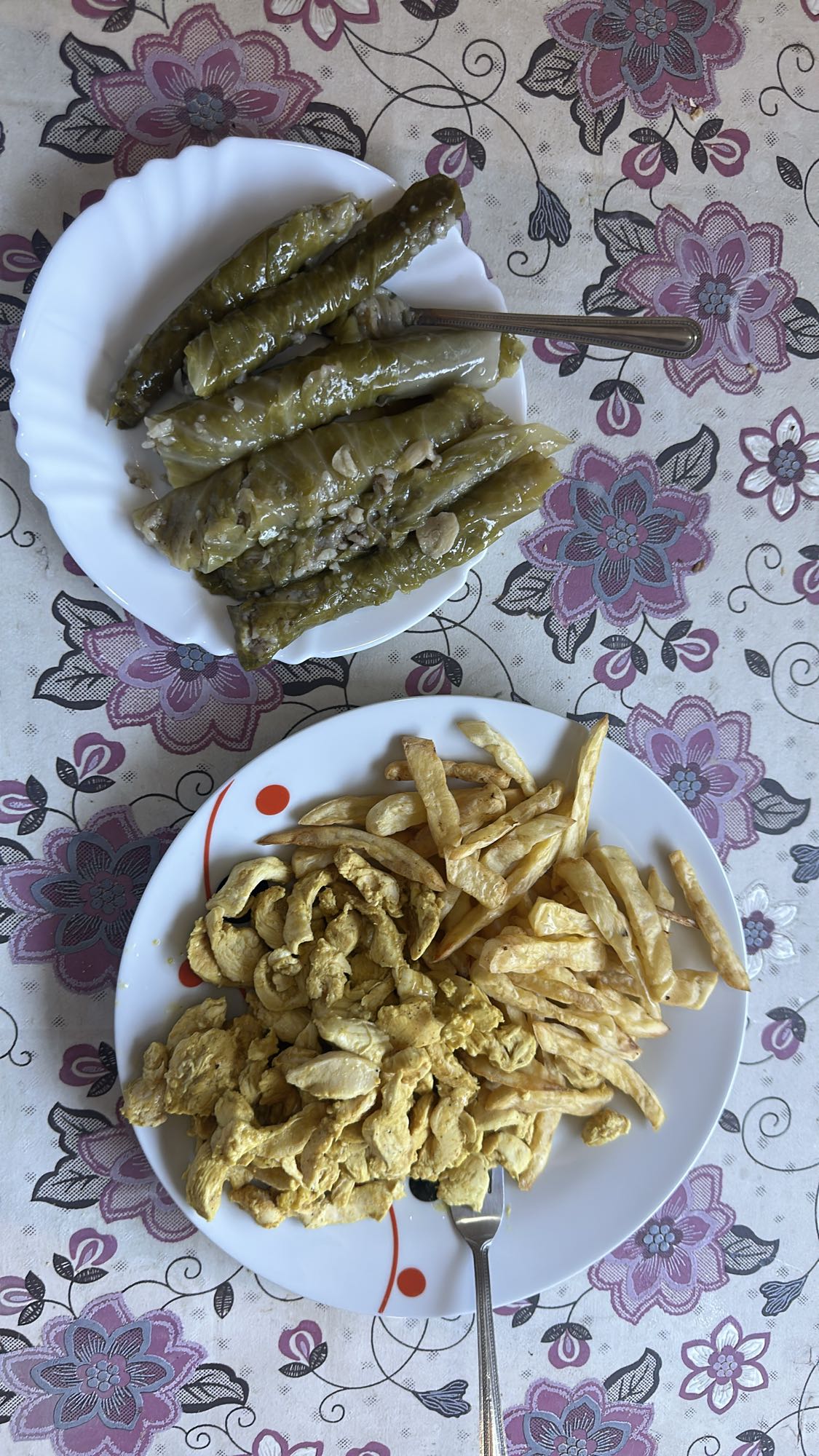 Stuffed grape leaves & chicken