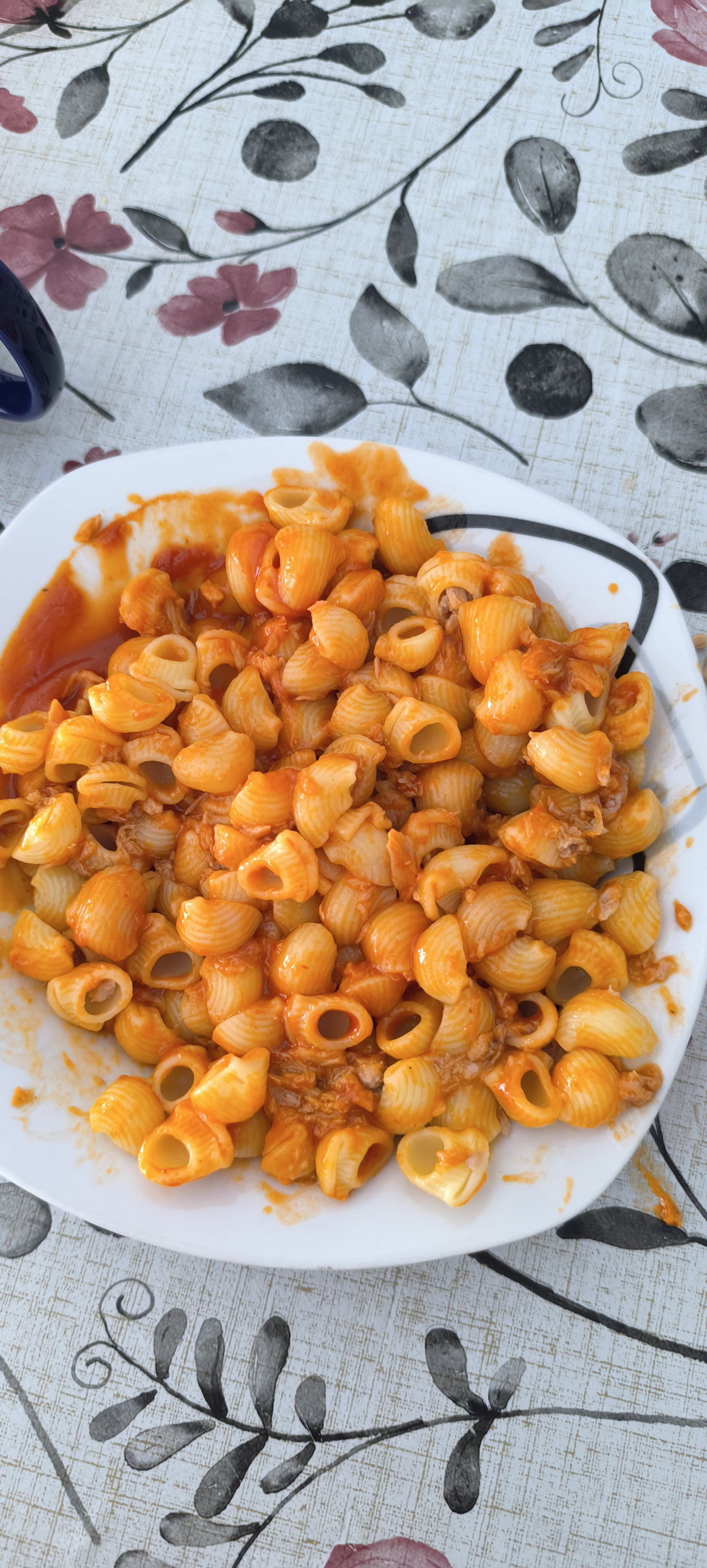 Pasta with tomato sauce