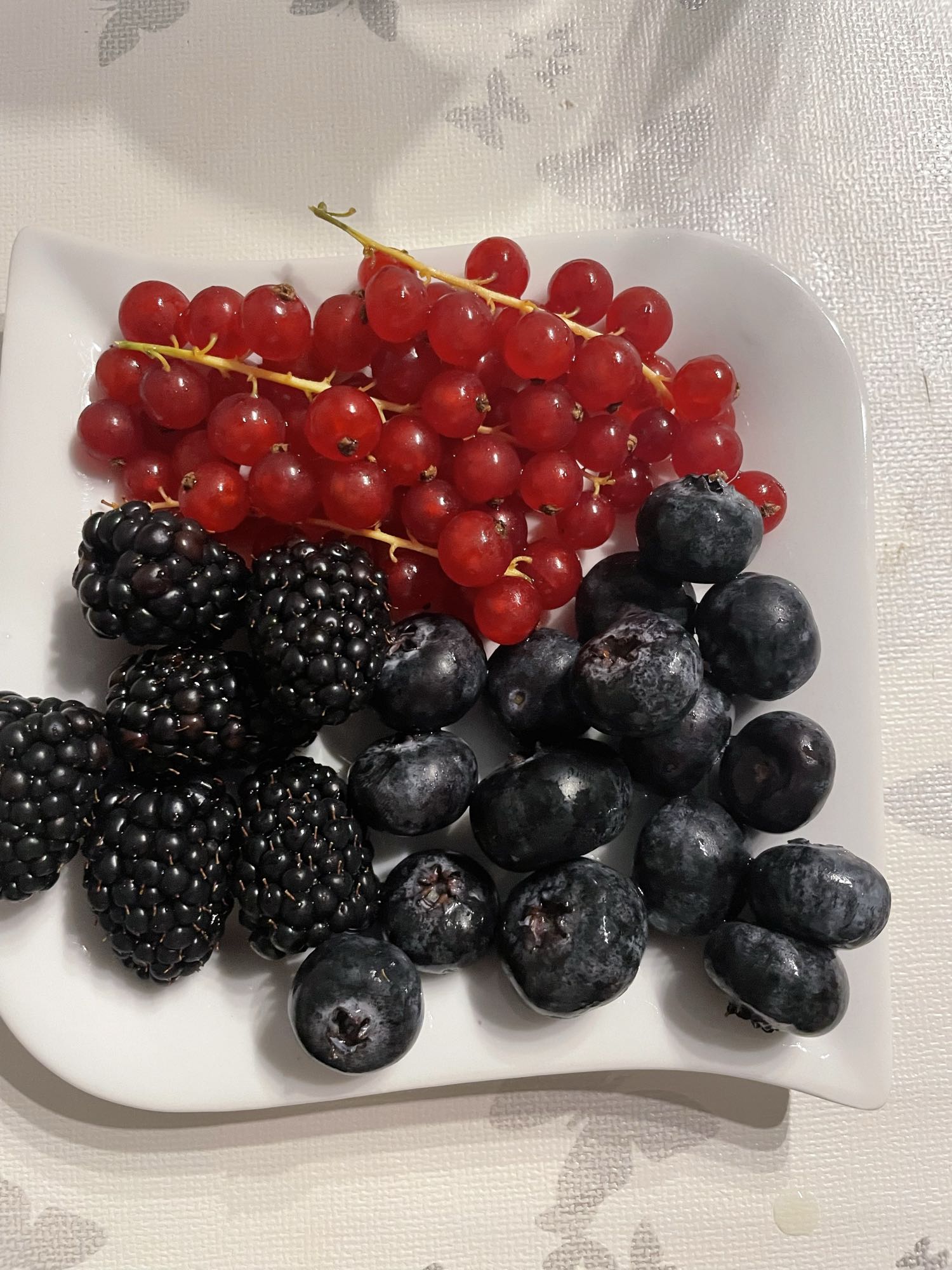 Bessen en aalbessen mix