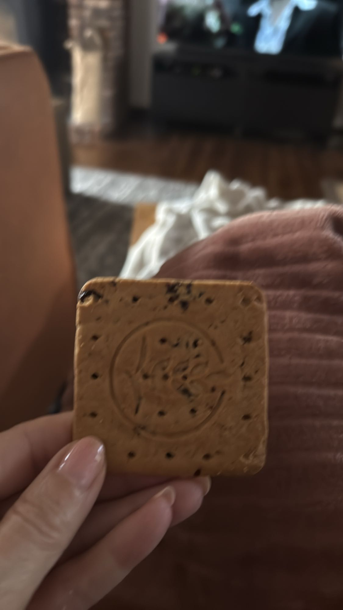 chocolade biscuit