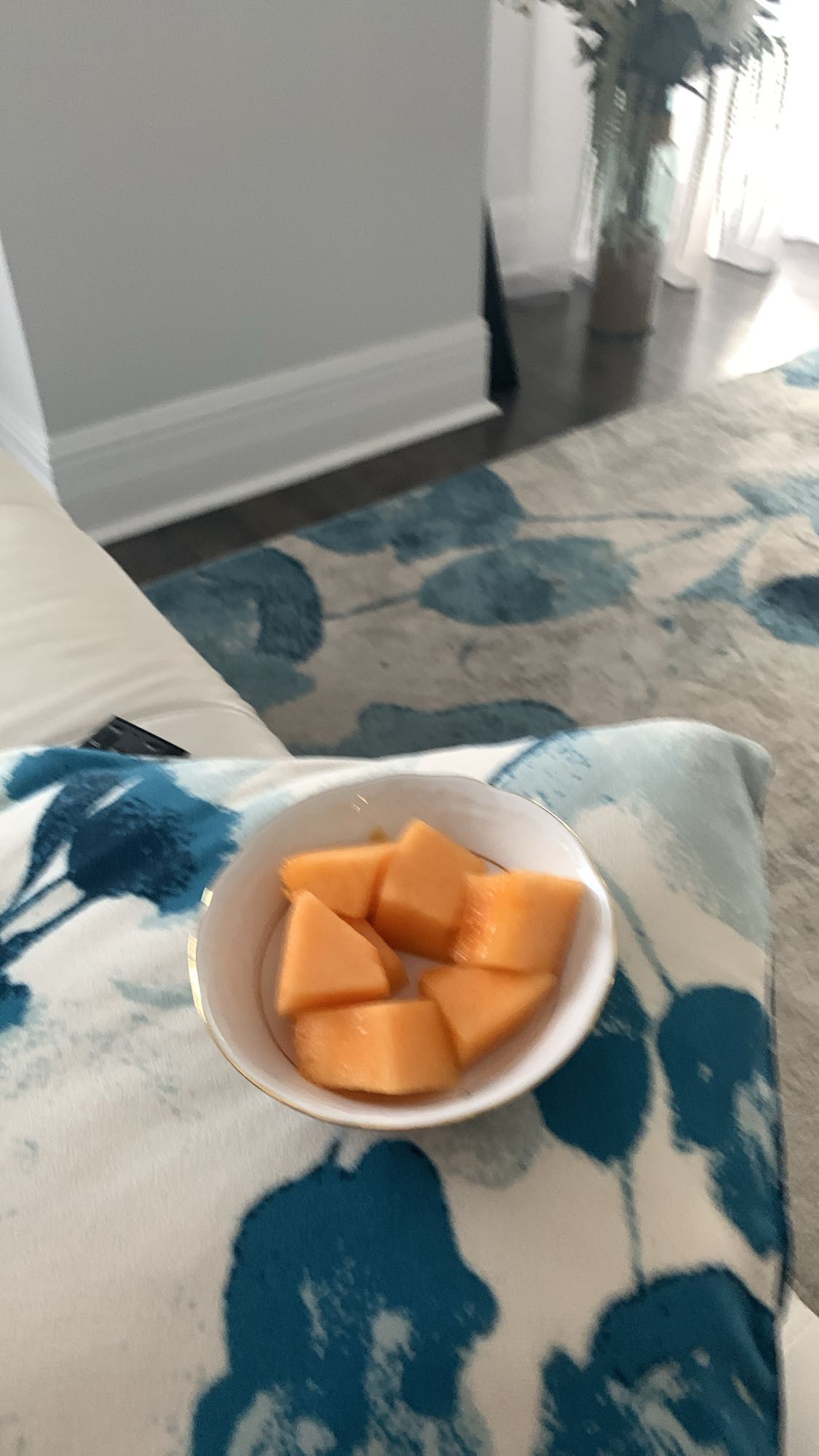 Morceaux de melon cantaloup