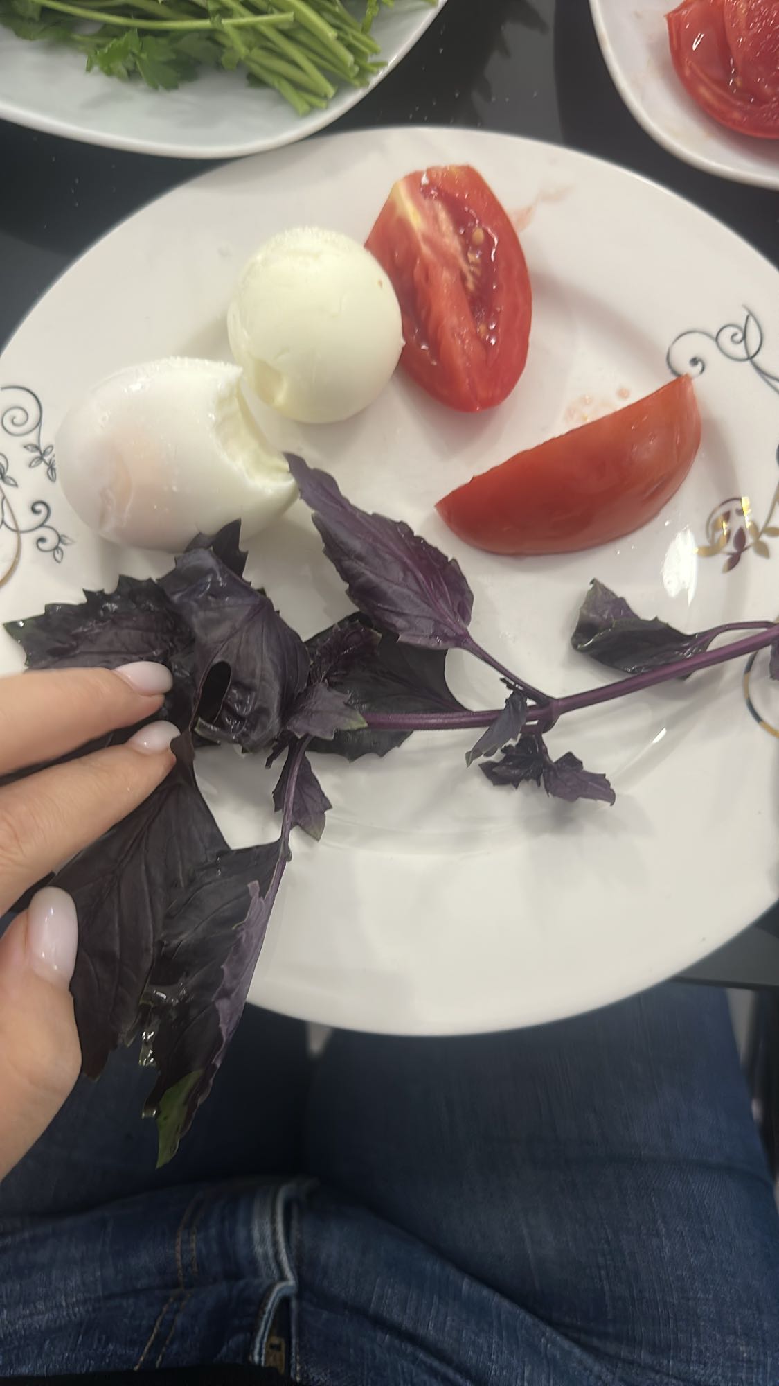 Egg, tomato, basil plate