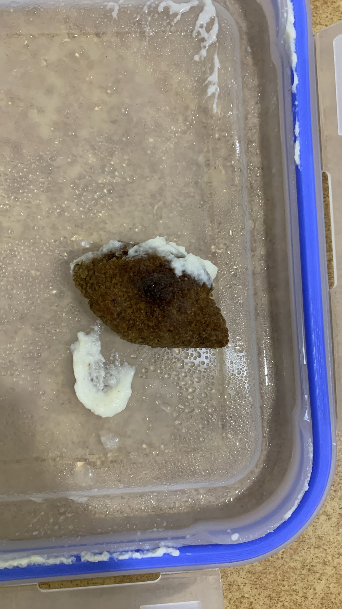 Kibbeh with yogurt