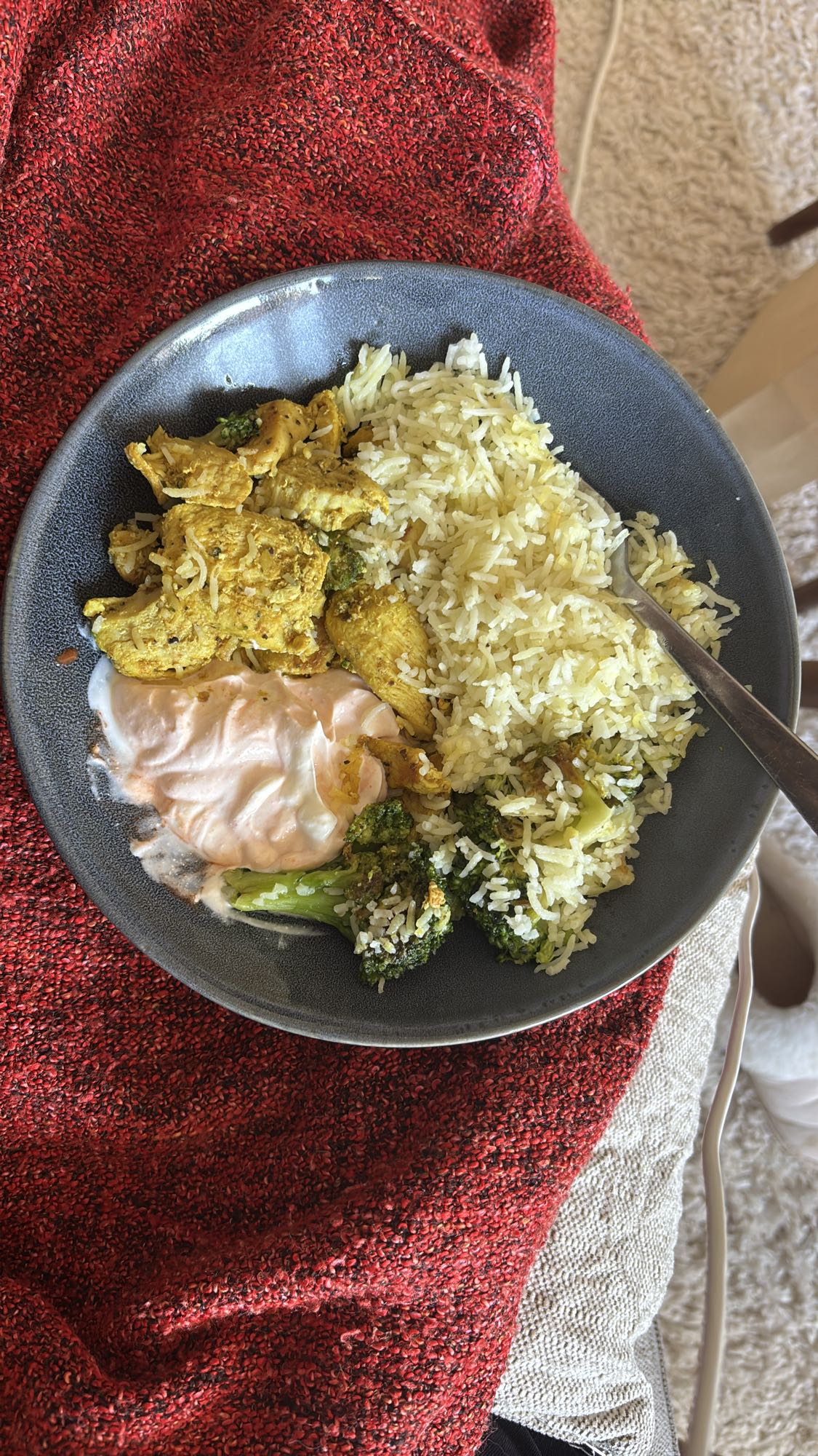 Kyckling med ris och sås