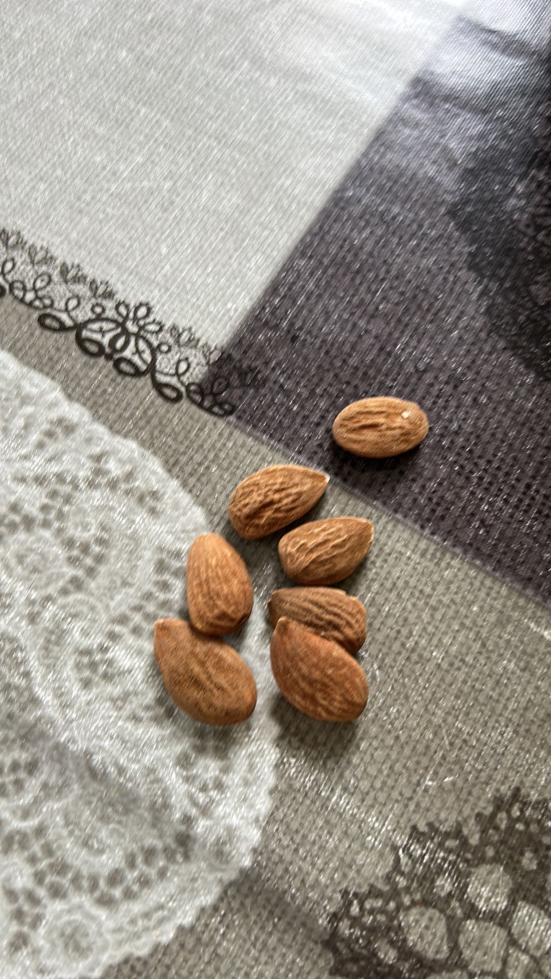 Amandes nature