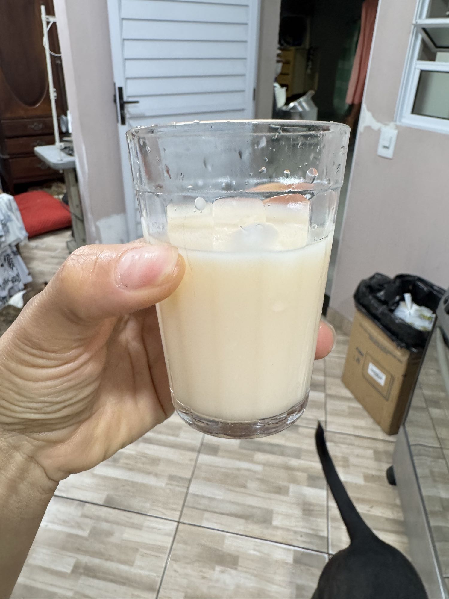 Copo de leite gelado