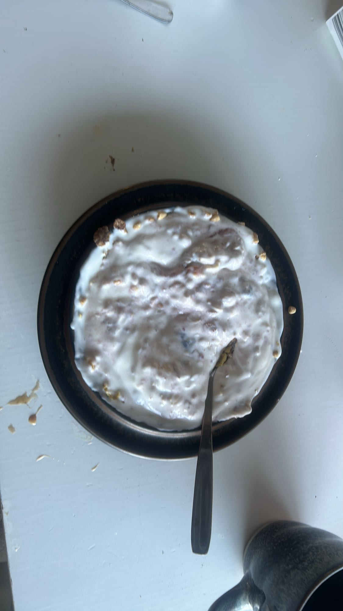 Yoghurt med müsli