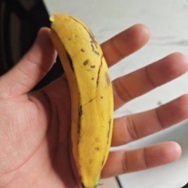 Small Banana Snack