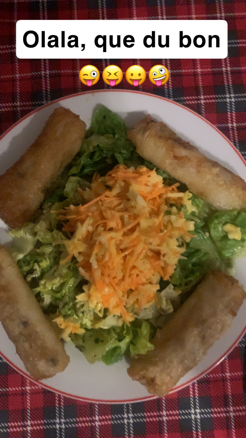 Nems et salade fraîche