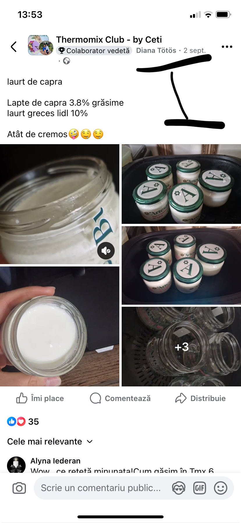 Iaurt de capră cremos