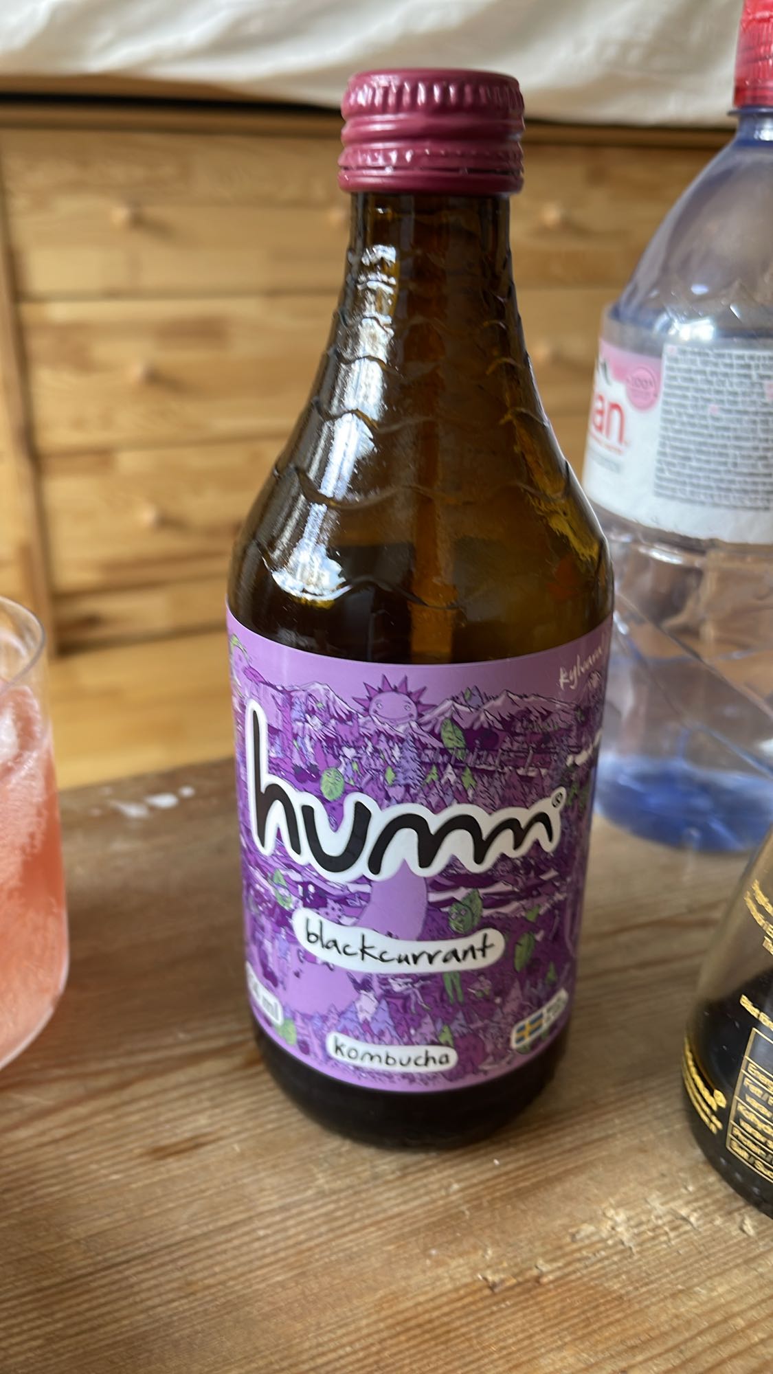 Svartvinbär kombucha