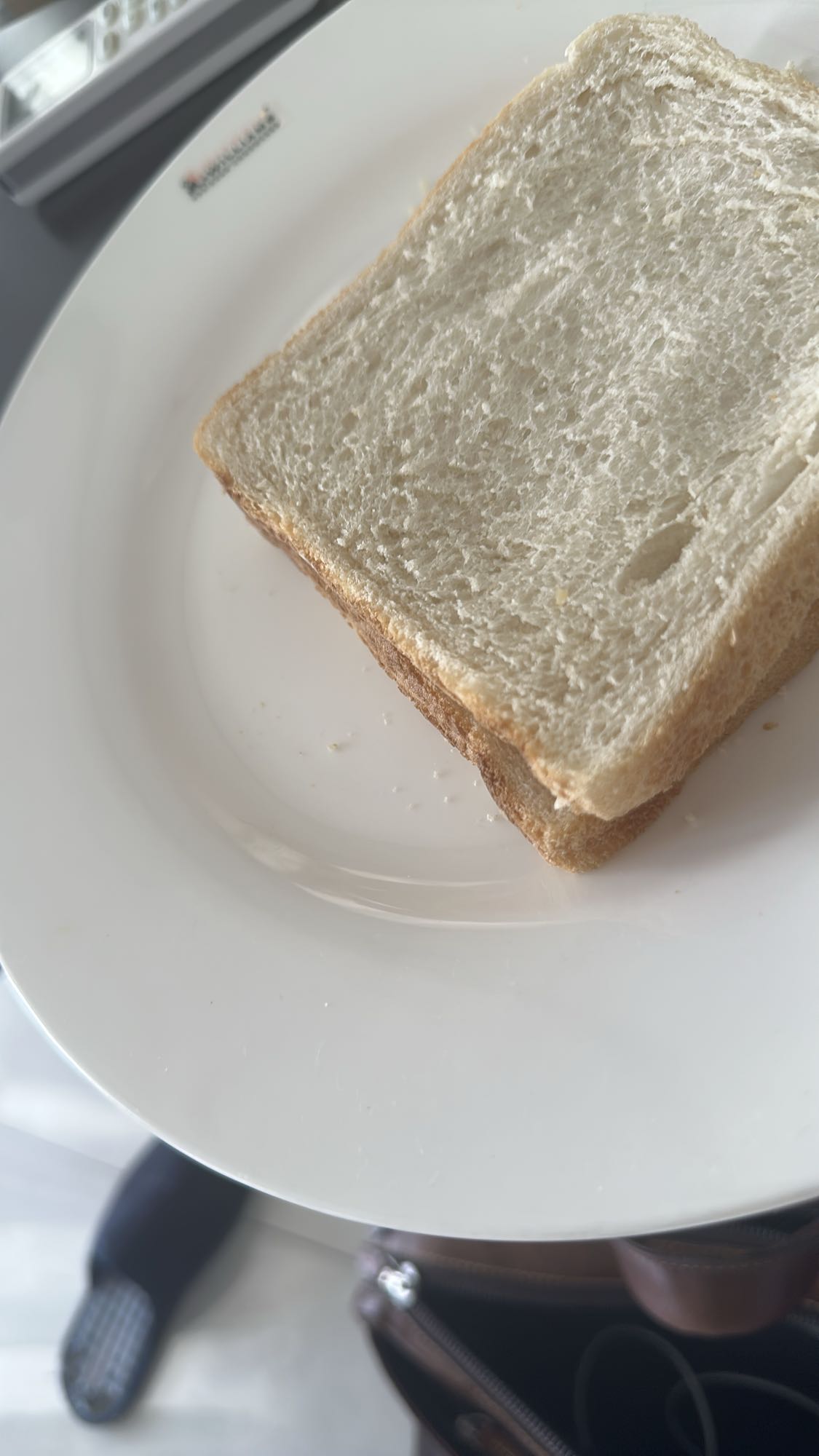 Plain White Bread Sandwich