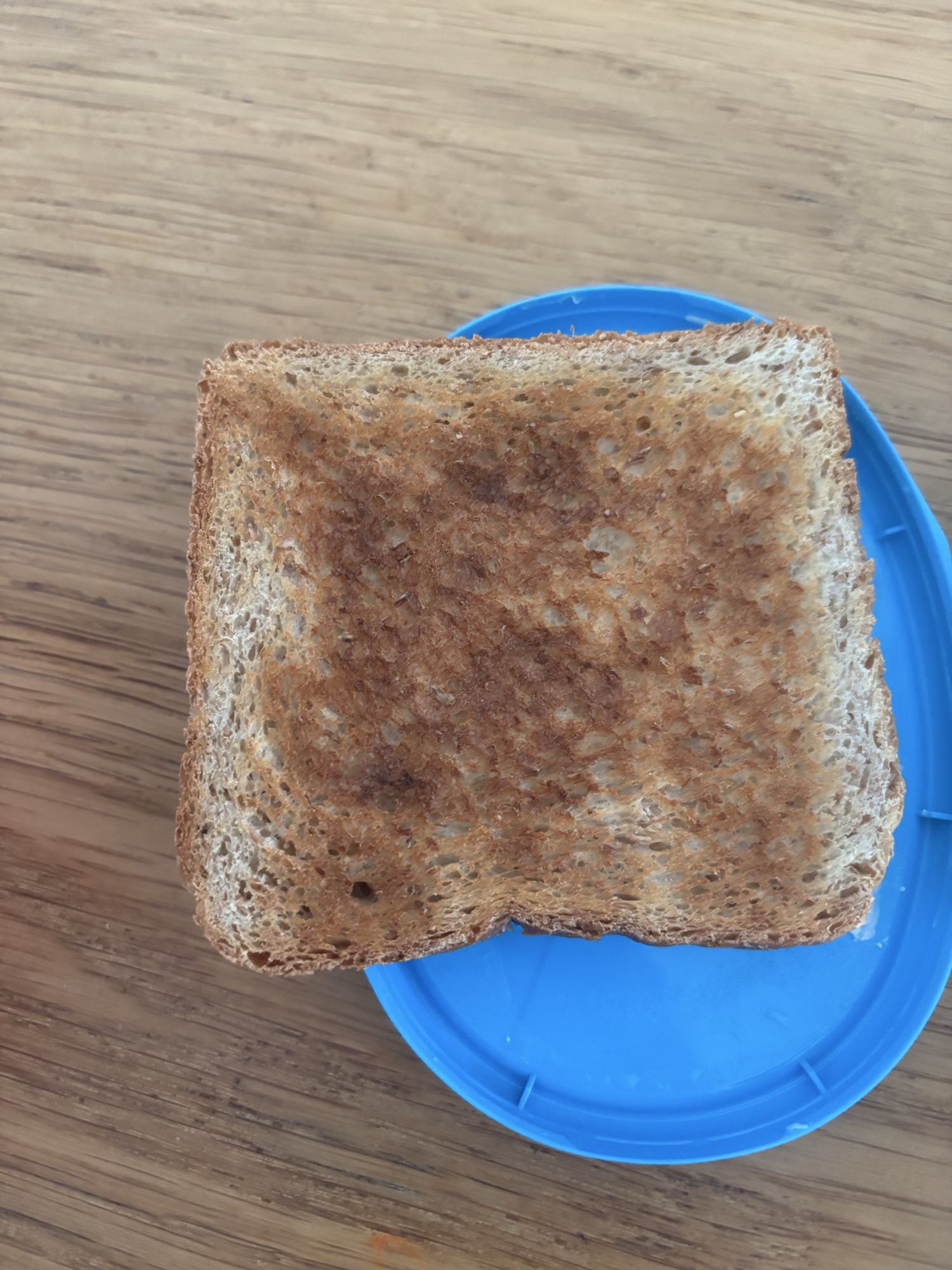 Whole Wheat Toast