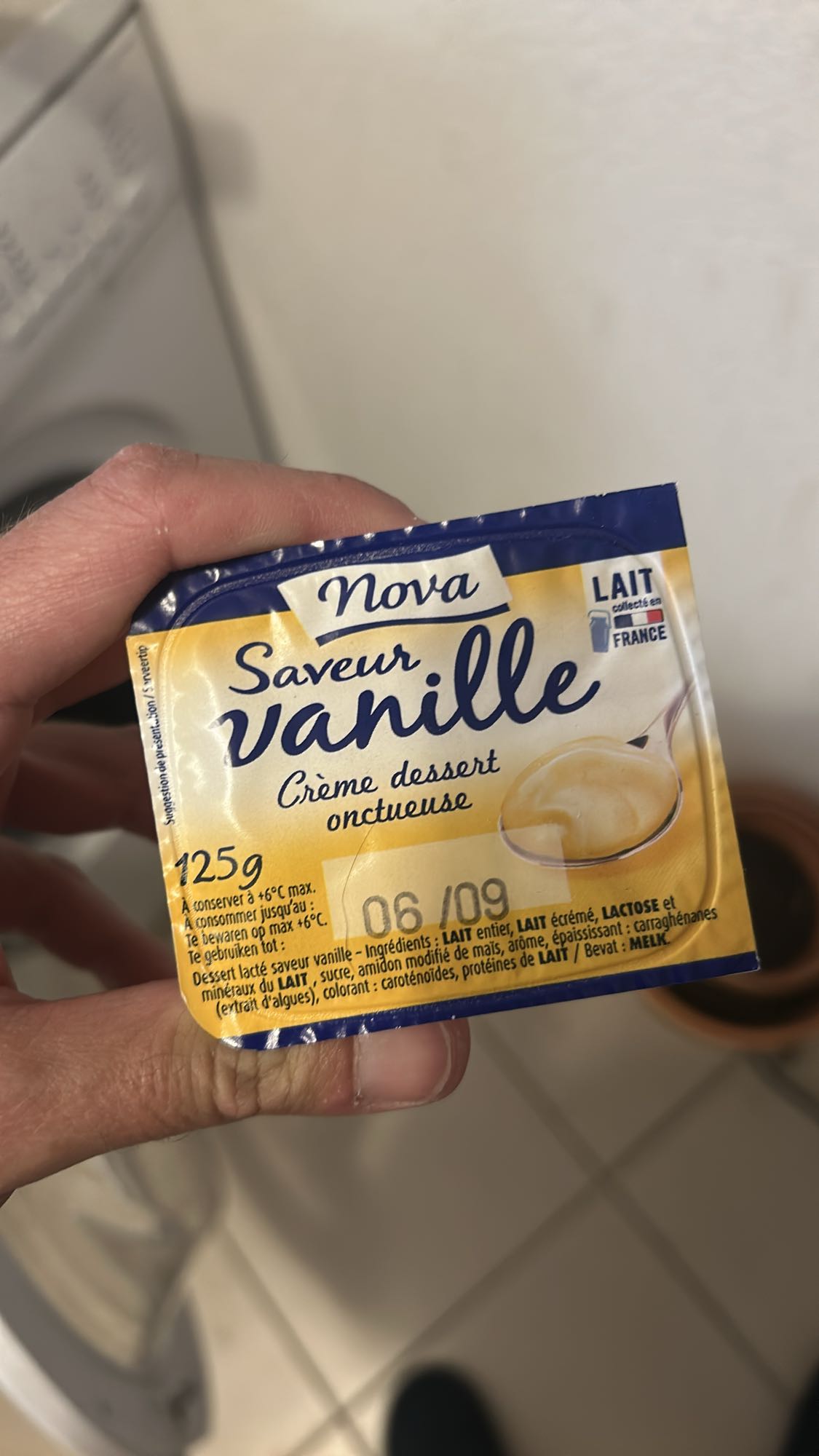 Crème vanille dessert