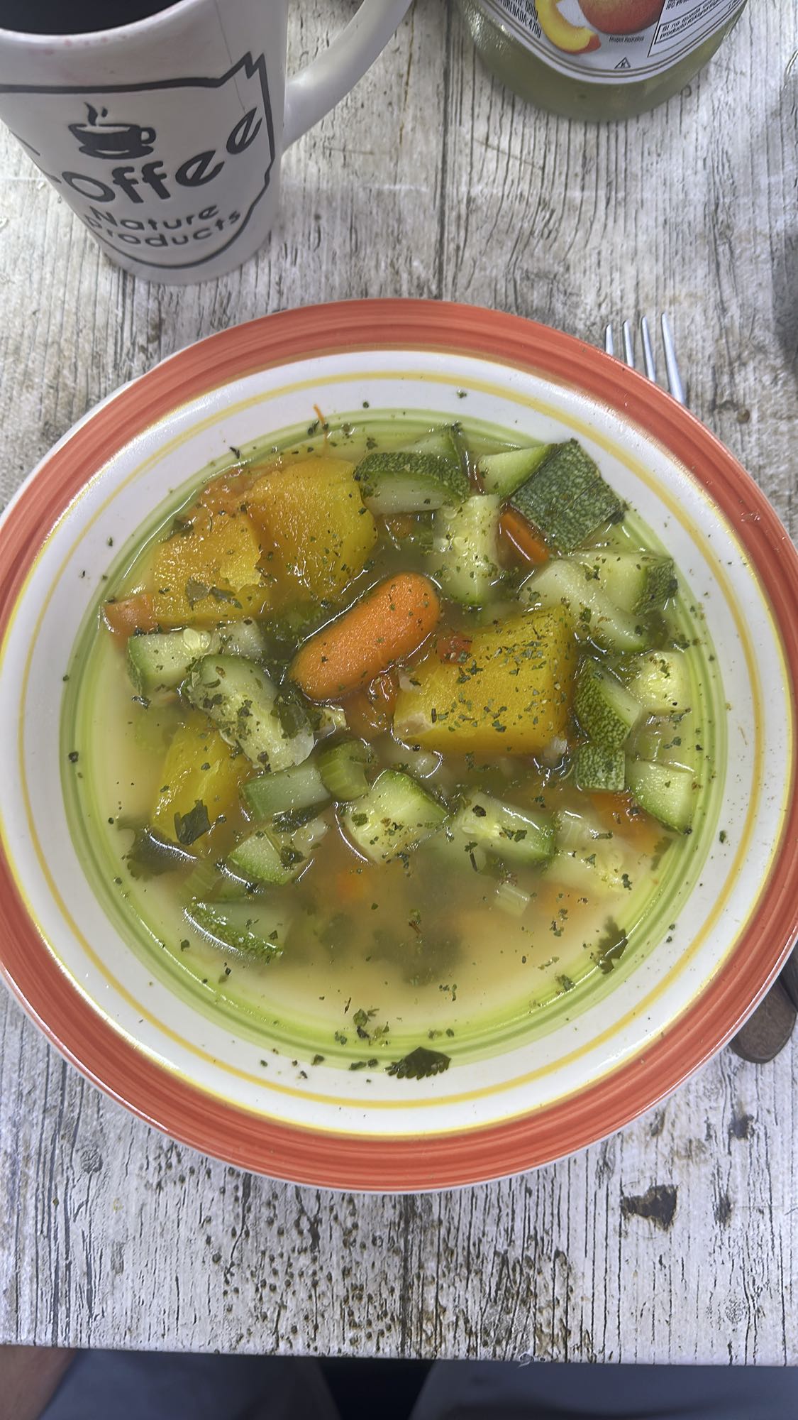 sopa de verduras