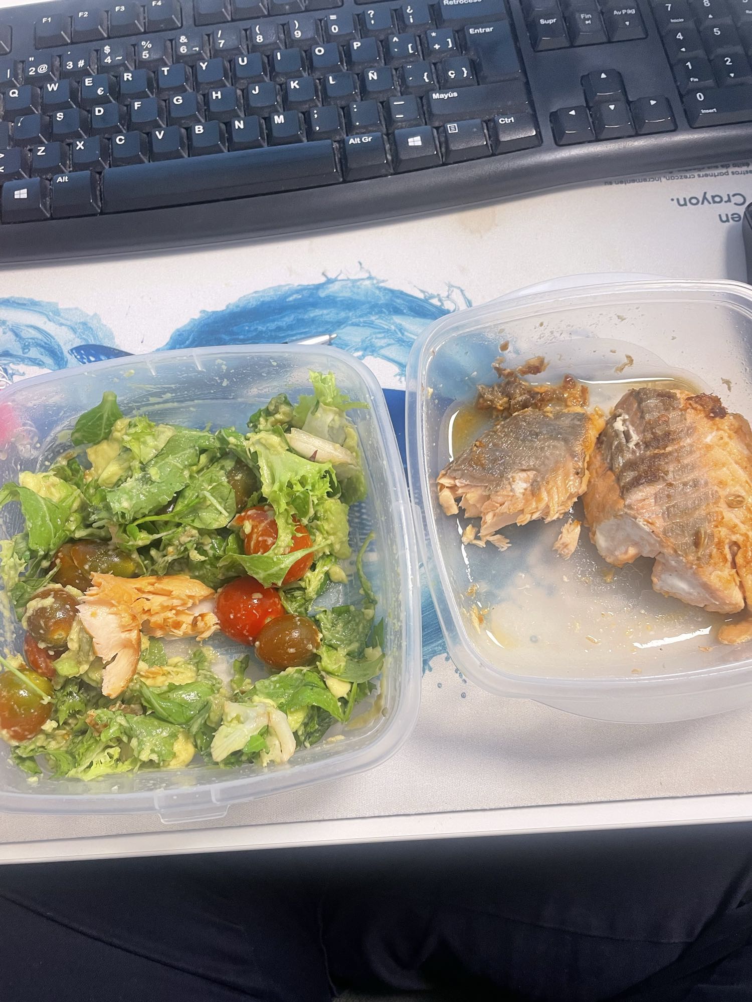 ensalada y salmón