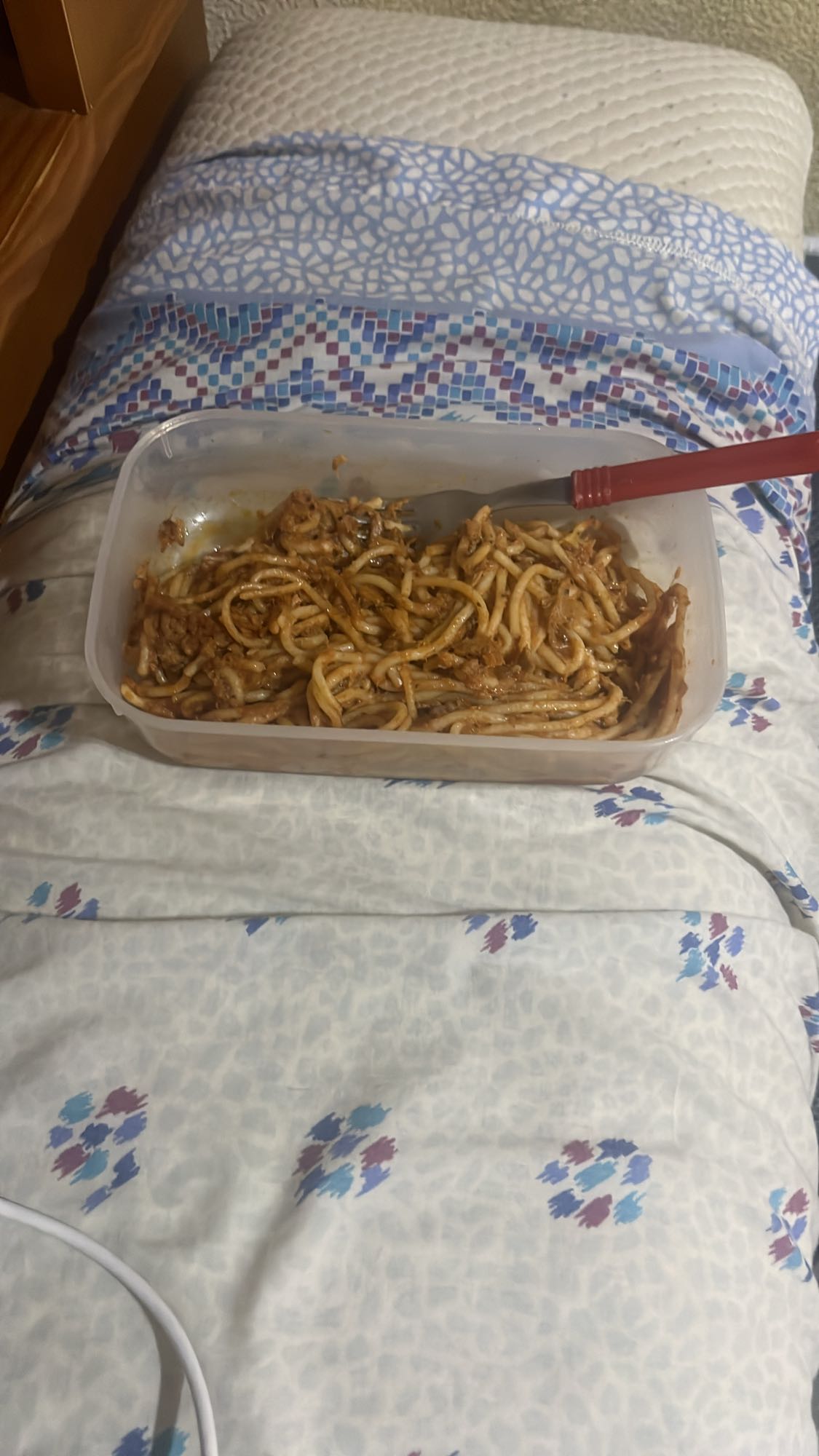 espaguetis con carne