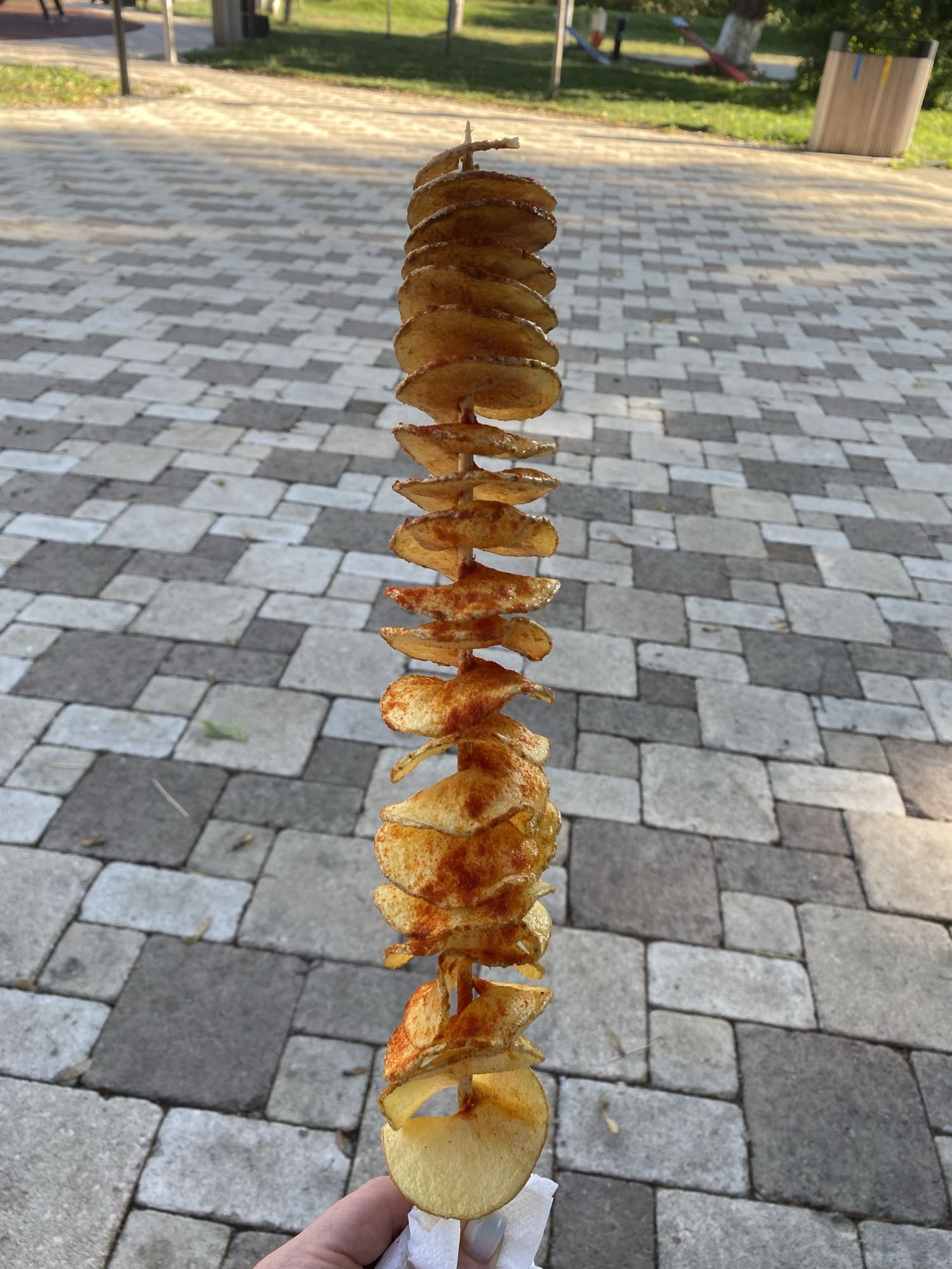 Cartof spiral prăjit