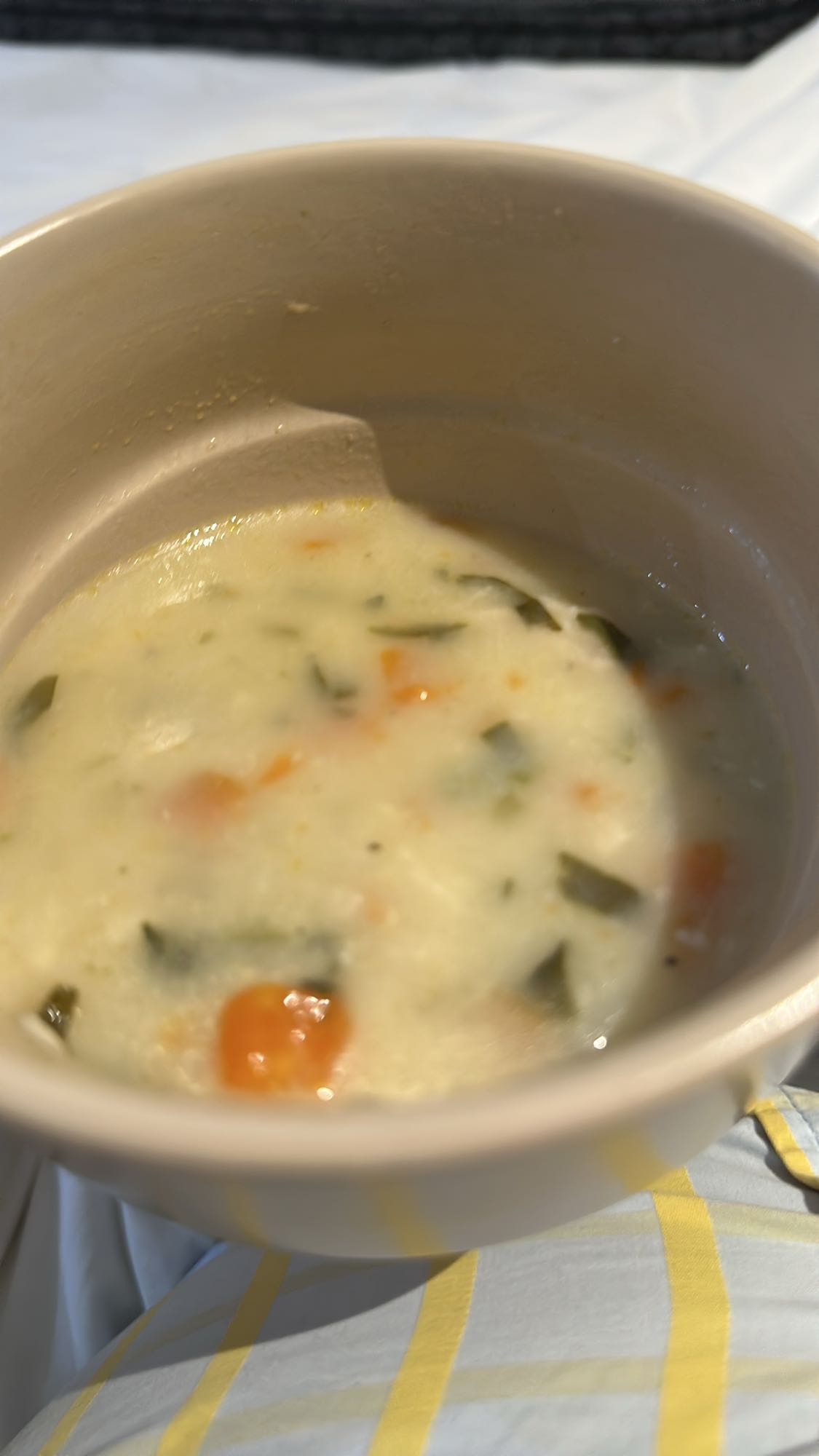 Creamy Veggie Soup